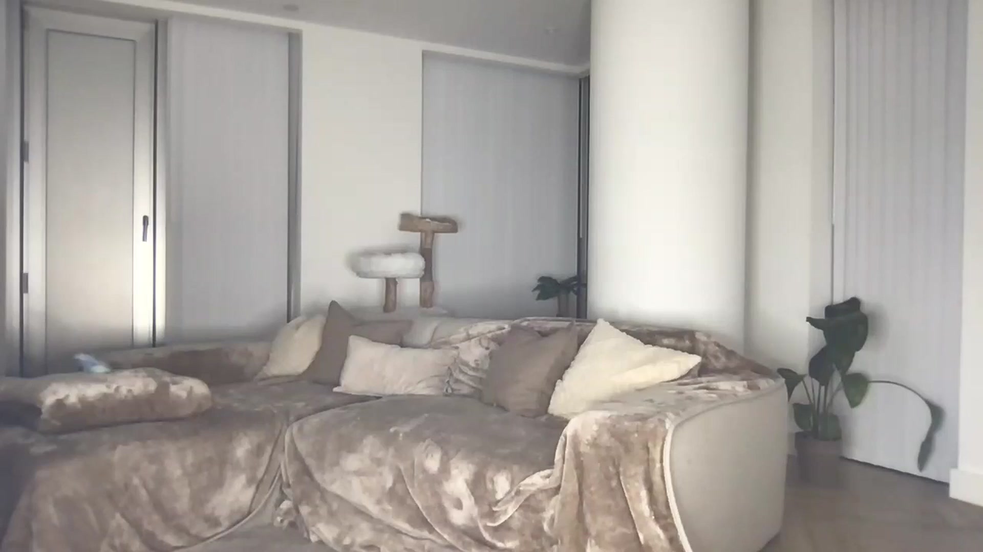 Gallery image thumbnail from Dreamy_Peach's myfreecams stream on, 08/25/2024, 20:12 image 19 of 20