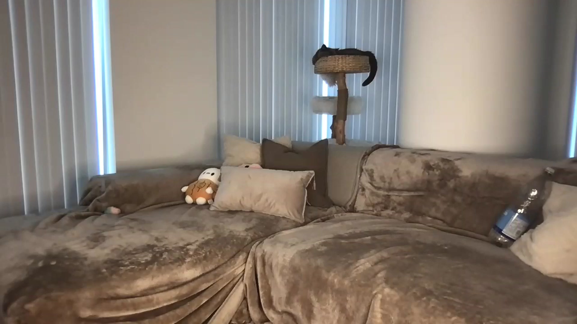 Gallery image thumbnail from Dreamy_Peach's myfreecams stream on, 09/23/2024, 13:21 image 9 of 20