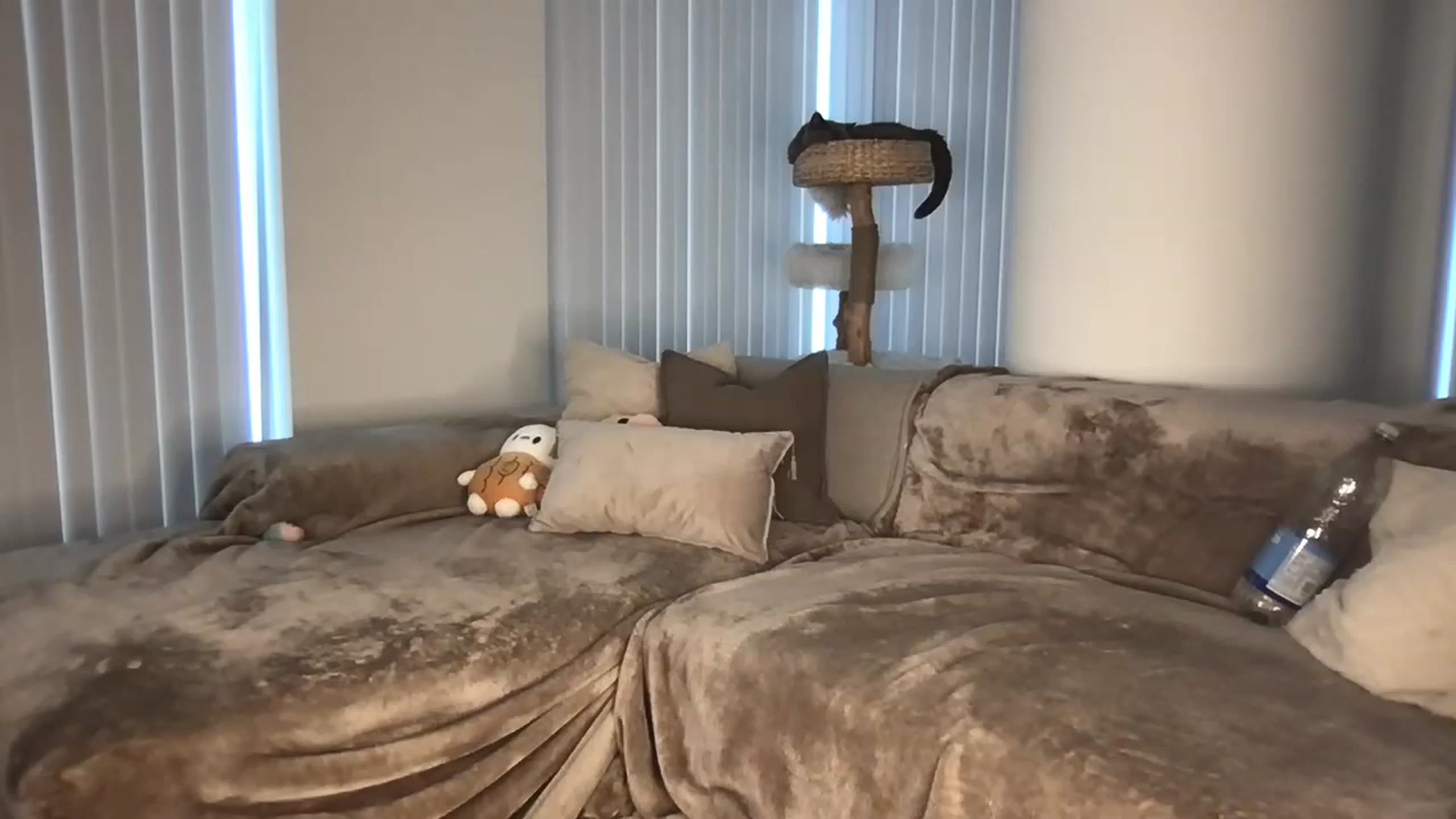 Gallery image thumbnail from Dreamy_Peach's myfreecams stream on, 09/23/2024, 13:21 image 10 of 20