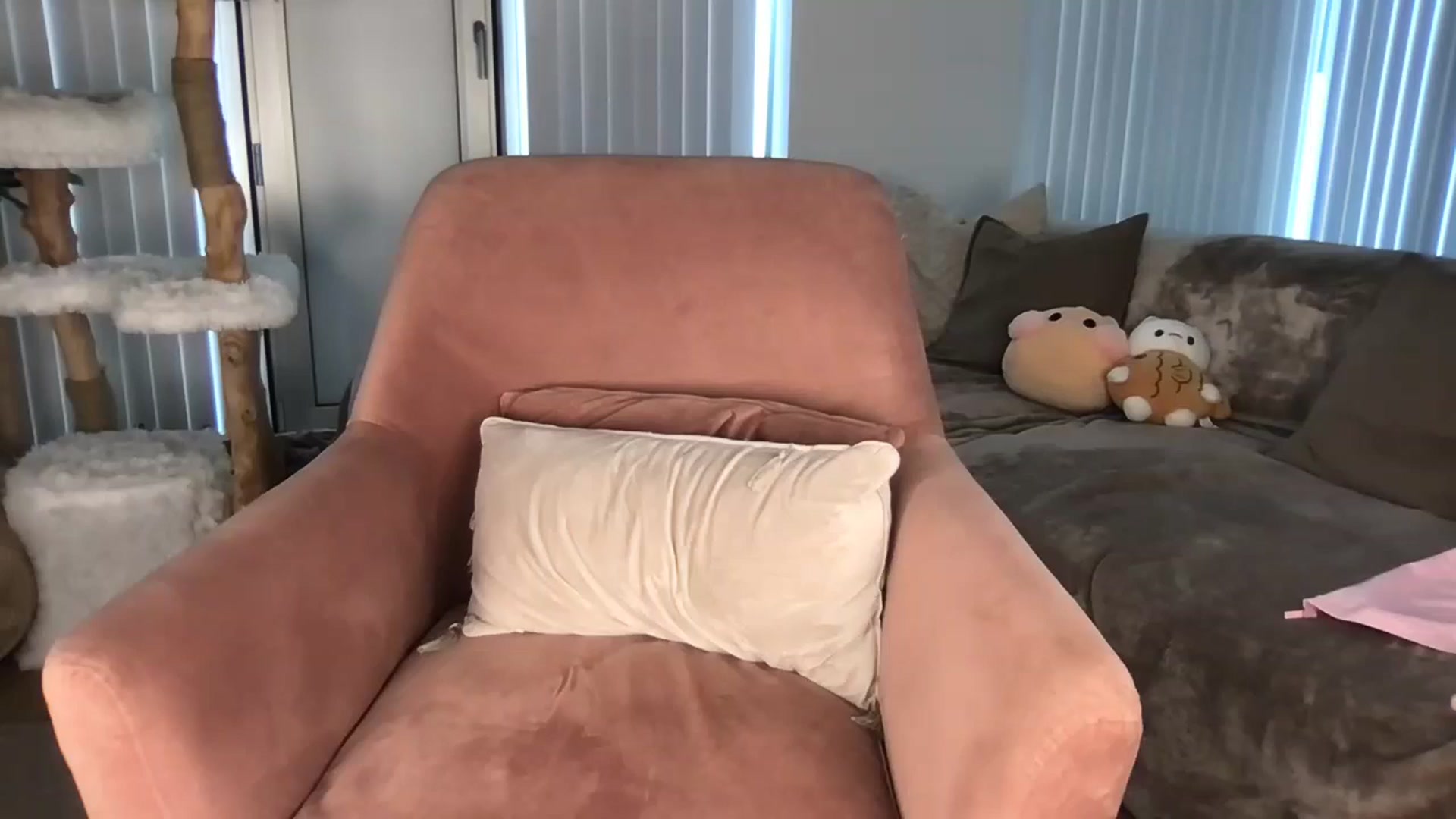 Gallery image thumbnail from Dreamy_Peach's myfreecams stream on, 09/27/2024, 10:44 image 18 of 20