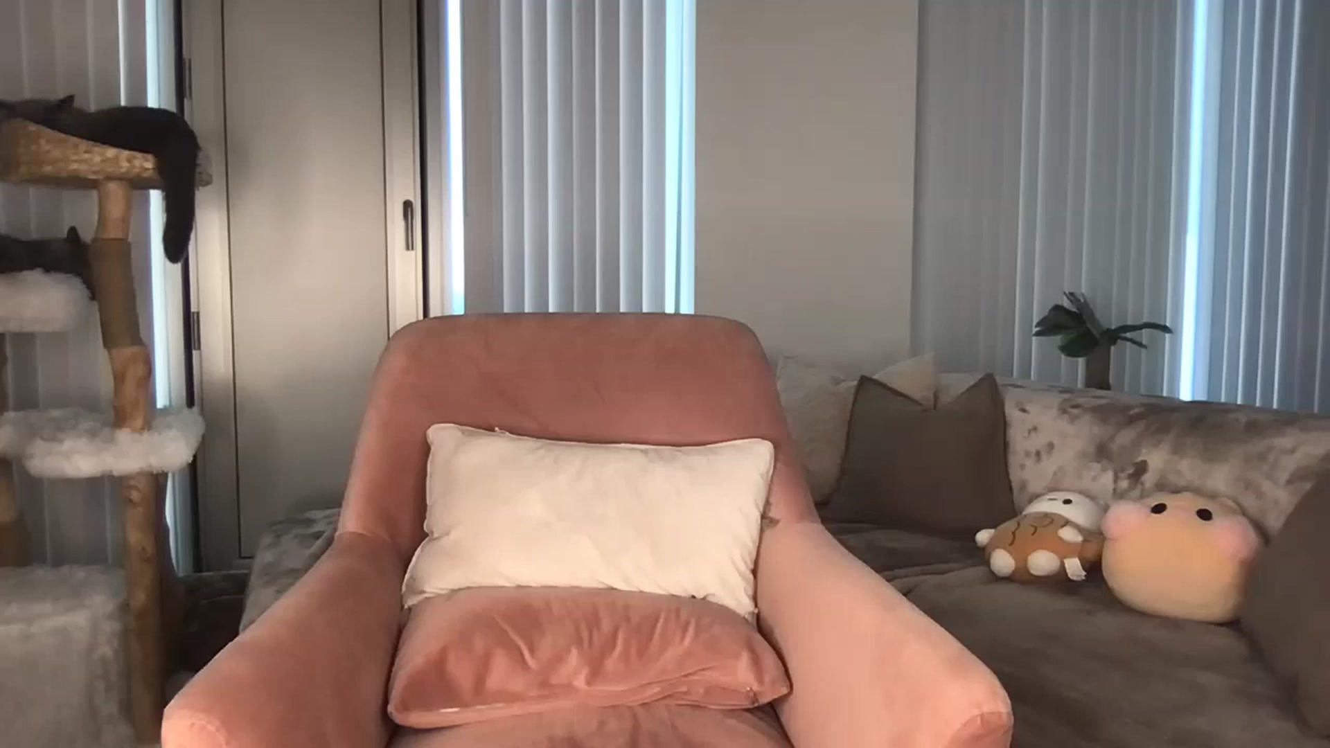 Gallery image thumbnail from Dreamy_Peach's myfreecams stream on, 09/28/2024, 16:05 image 4 of 20