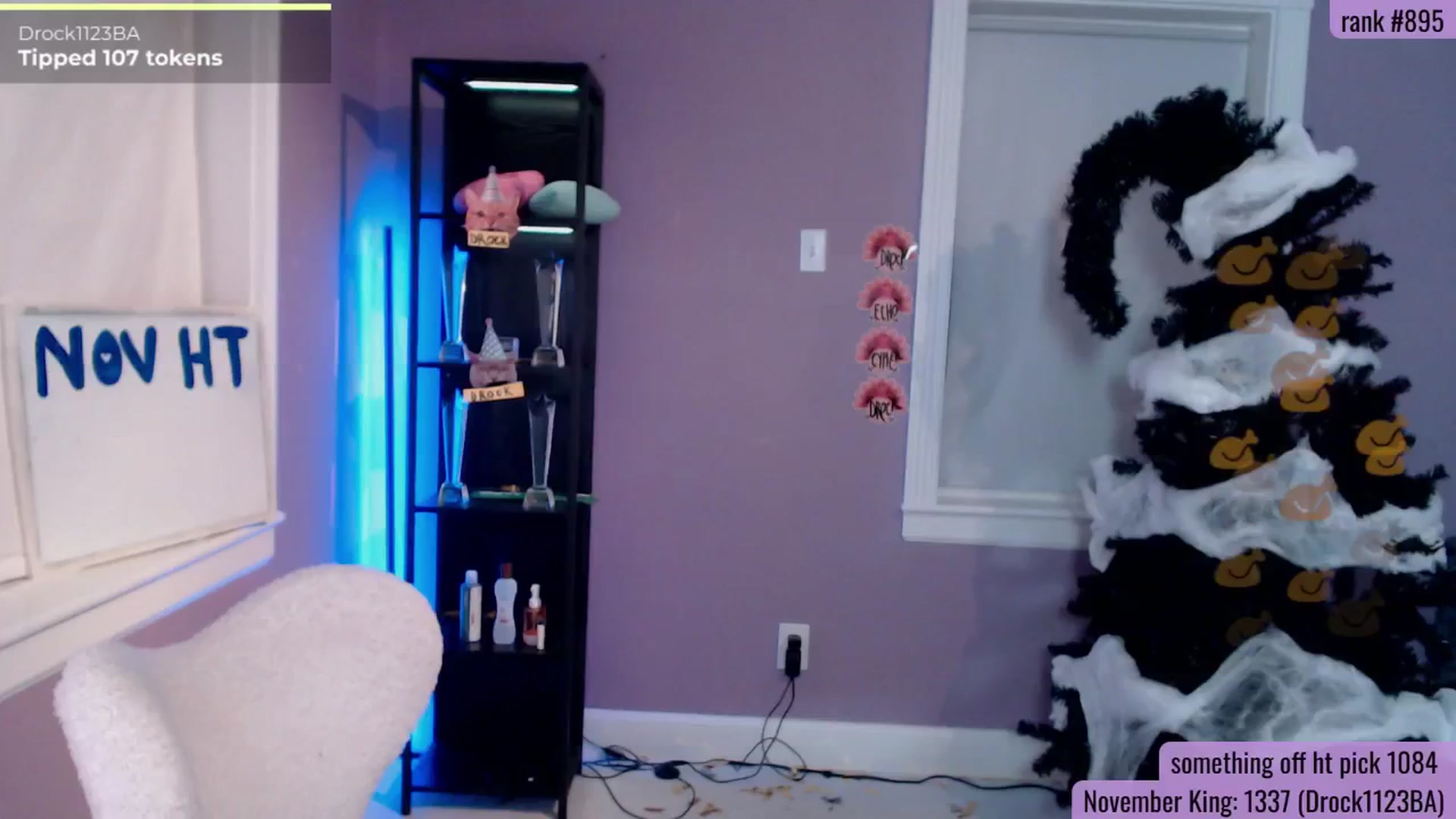 Gallery image thumbnail from DrocksAriel's myfreecams stream on, 11/04/2025, 02:41 image 9 of 20