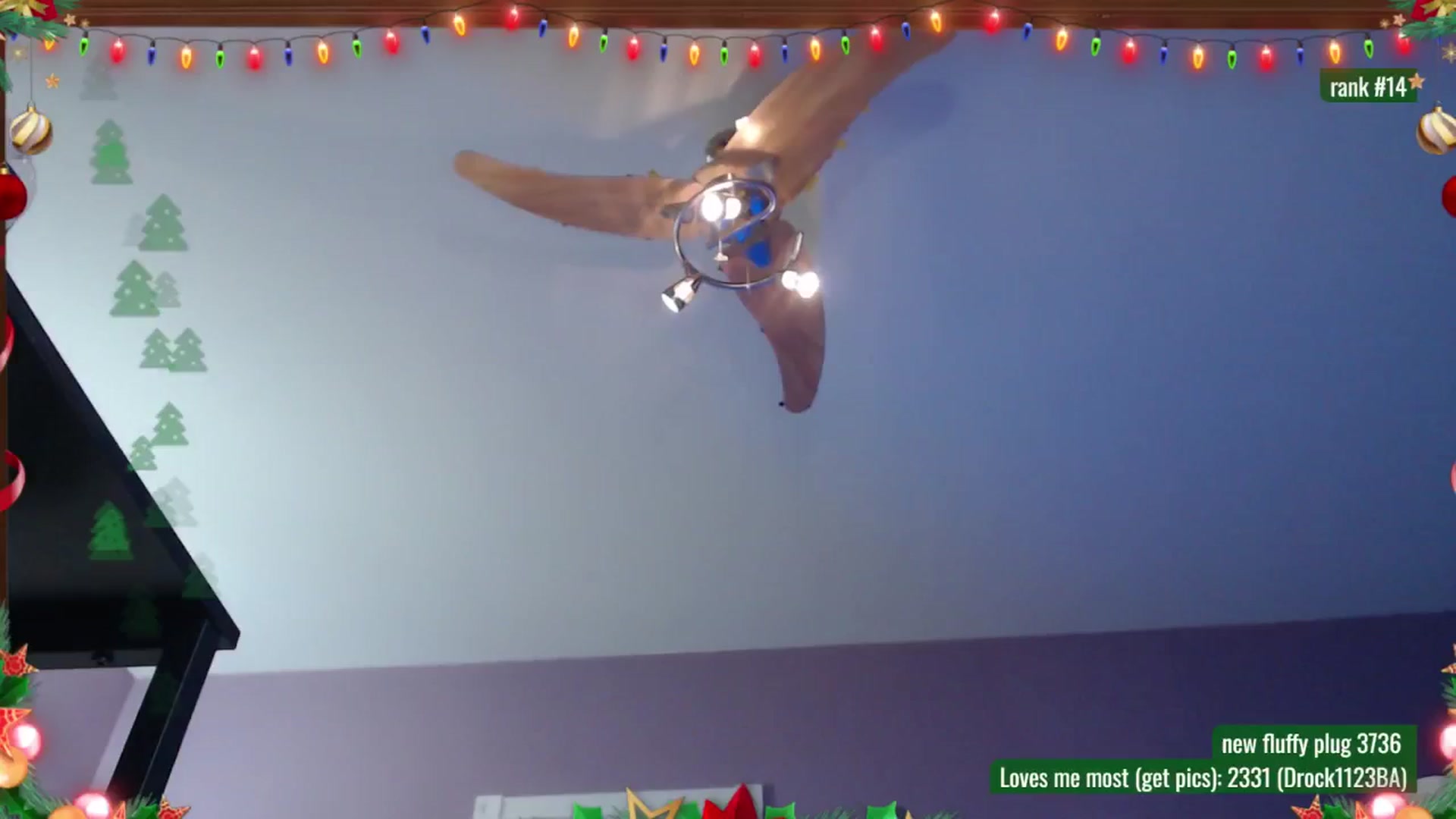 Gallery image thumbnail from DrocksAriel's myfreecams stream on, 12/13/2025, 05:06 image 14 of 20