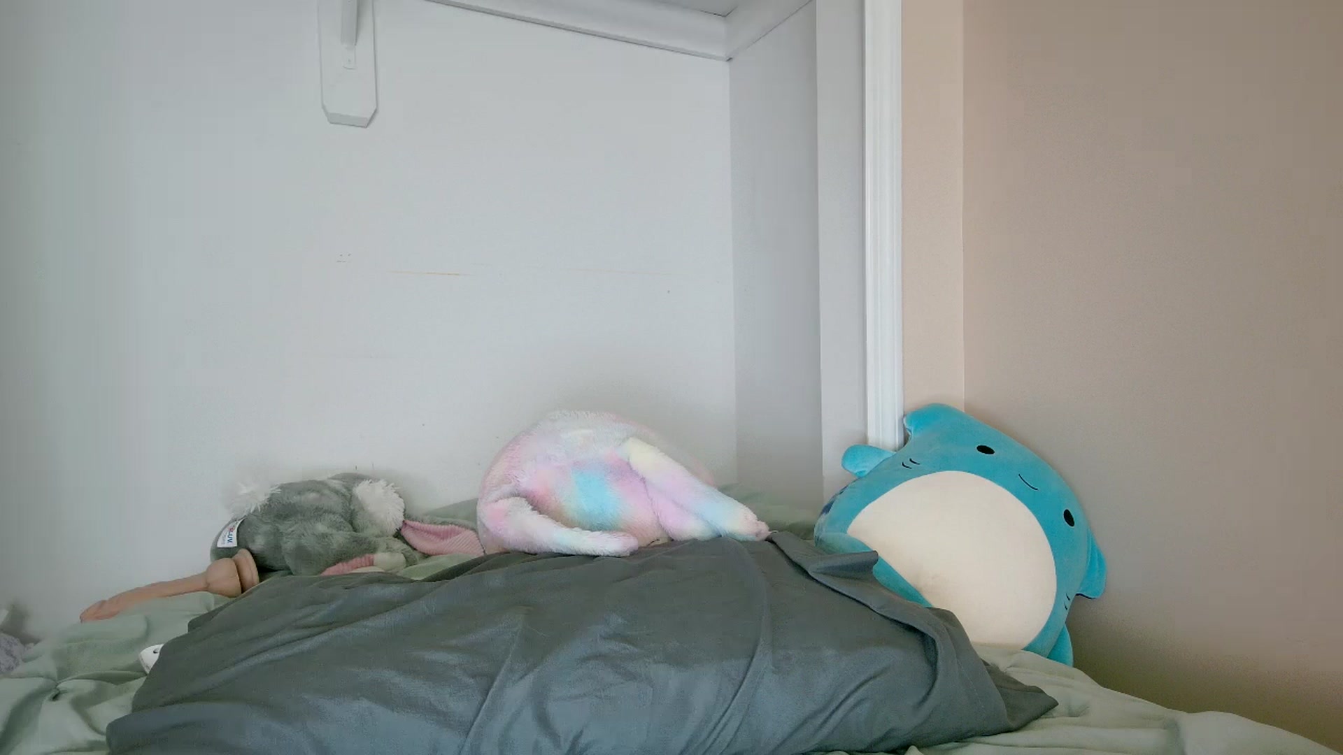 Gallery image thumbnail from DuckChan0's myfreecams stream on, 07/11/2023, 16:05 image 12 of 20
