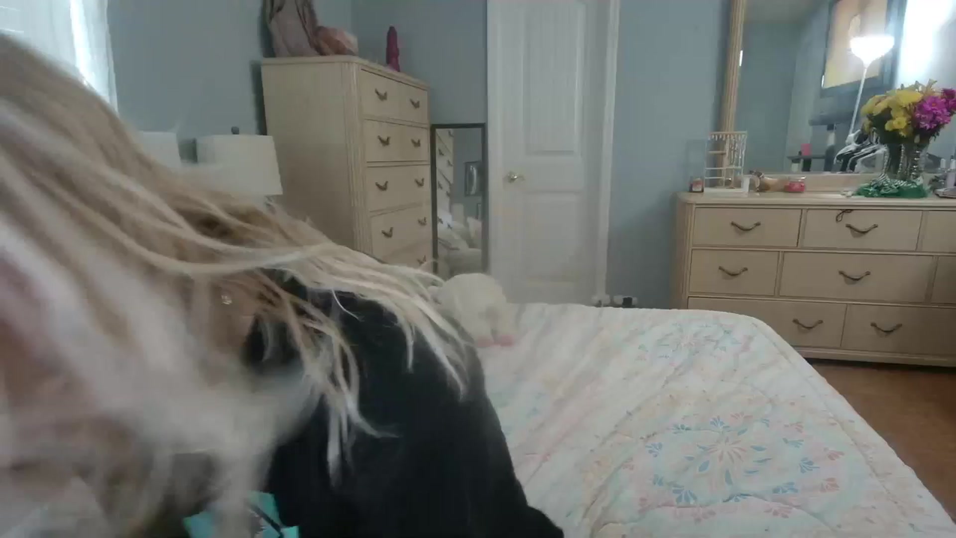 Gallery image thumbnail from DuckChan0's myfreecams stream on, 03/07/2024, 17:41 image 1 of 20