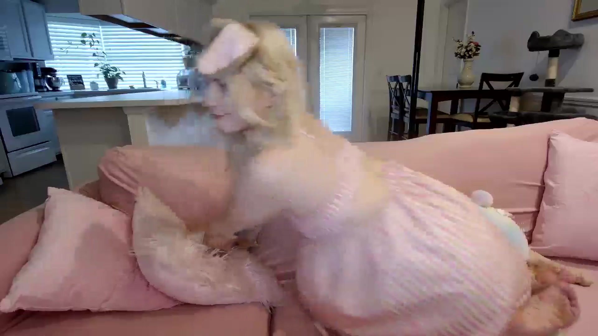 Gallery image thumbnail from DuckChan0's myfreecams stream on, 06/11/2024, 15:00 image 8 of 20