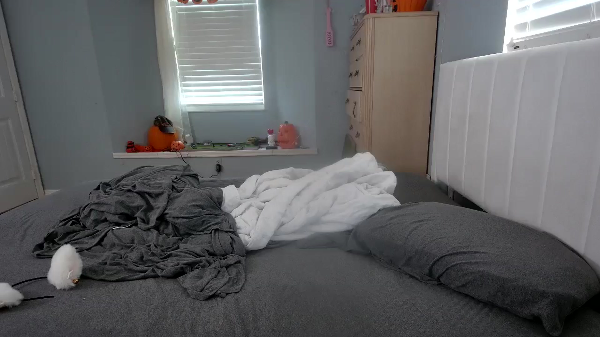 Gallery image thumbnail from DuckChan0's myfreecams stream on, 10/22/2024, 15:41 image 15 of 20