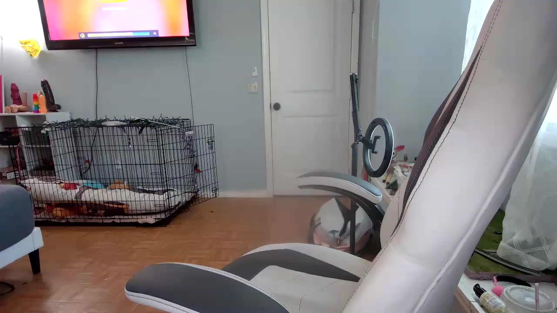 Gallery image thumbnail from DuckChan0's myfreecams stream on, 11/21/2024, 16:21 image 10 of 20