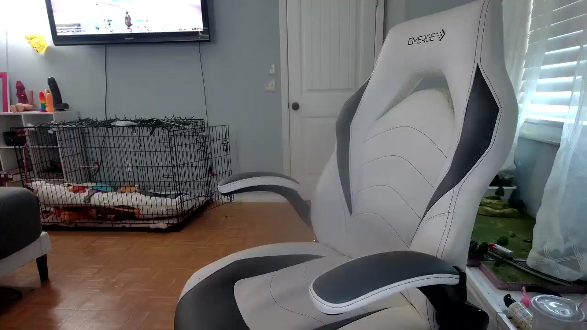 Gallery image thumbnail from DuckChan0's myfreecams stream on, 11/21/2024, 16:21 image 18 of 20