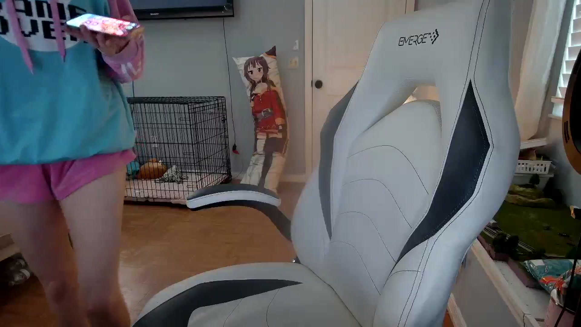 Gallery image thumbnail from DuckChan0's myfreecams stream on, 12/05/2024, 14:16 image 18 of 20