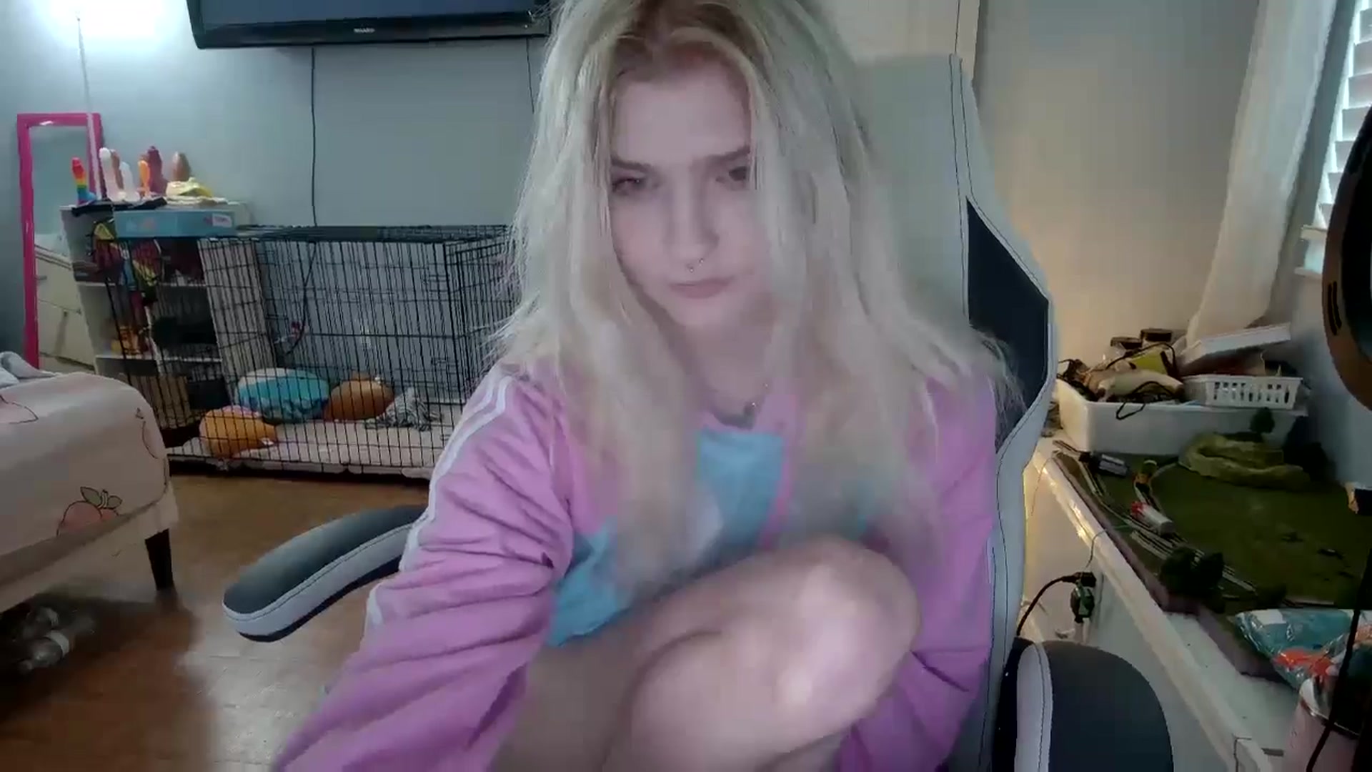 Gallery image thumbnail from DuckChan0's myfreecams stream on, 12/05/2024, 14:16 image 15 of 20