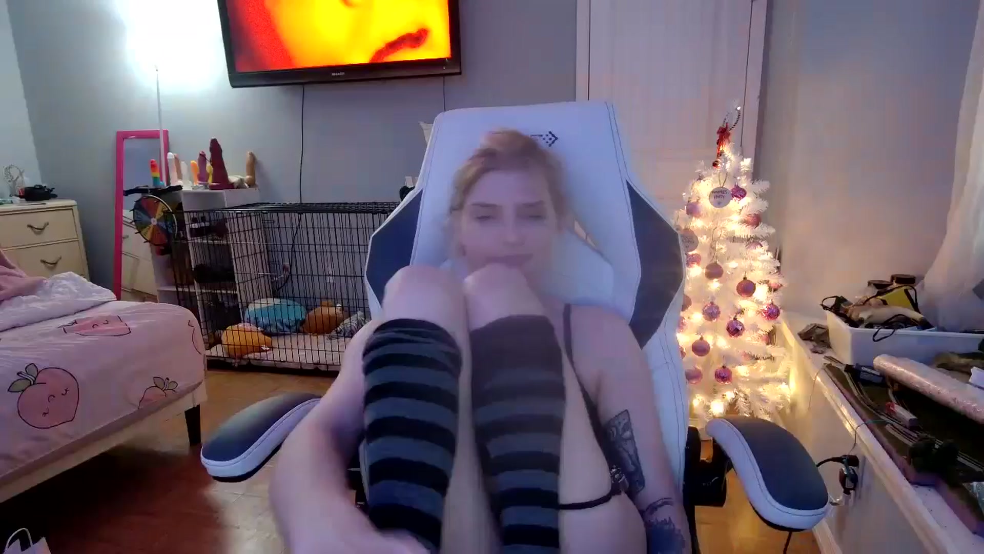 Gallery image thumbnail from DuckChan0's myfreecams stream on, 12/07/2024, 19:01 image 1 of 20