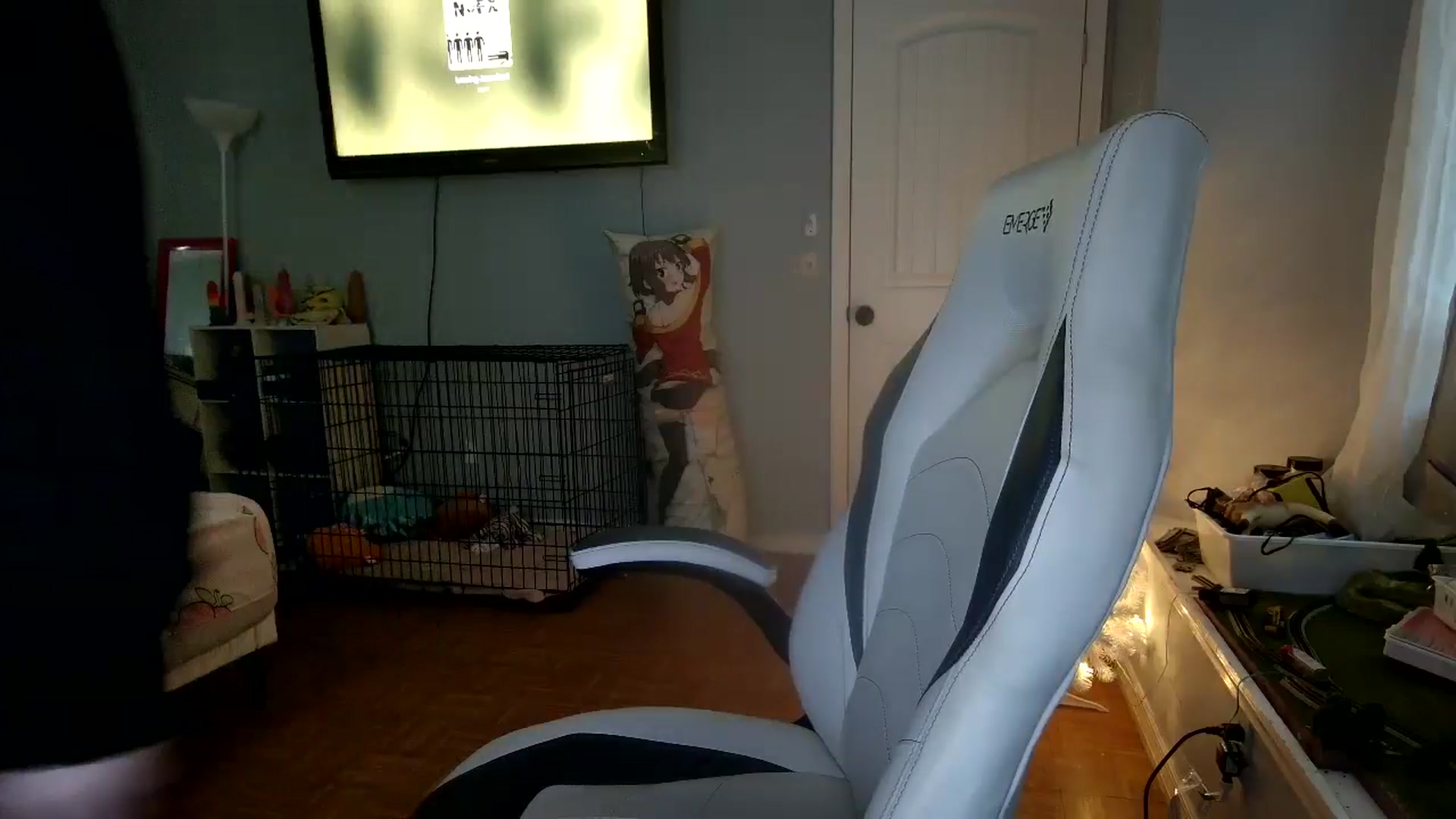 Gallery image thumbnail from DuckChan0's myfreecams stream on, 12/08/2024, 18:14 image 4 of 20
