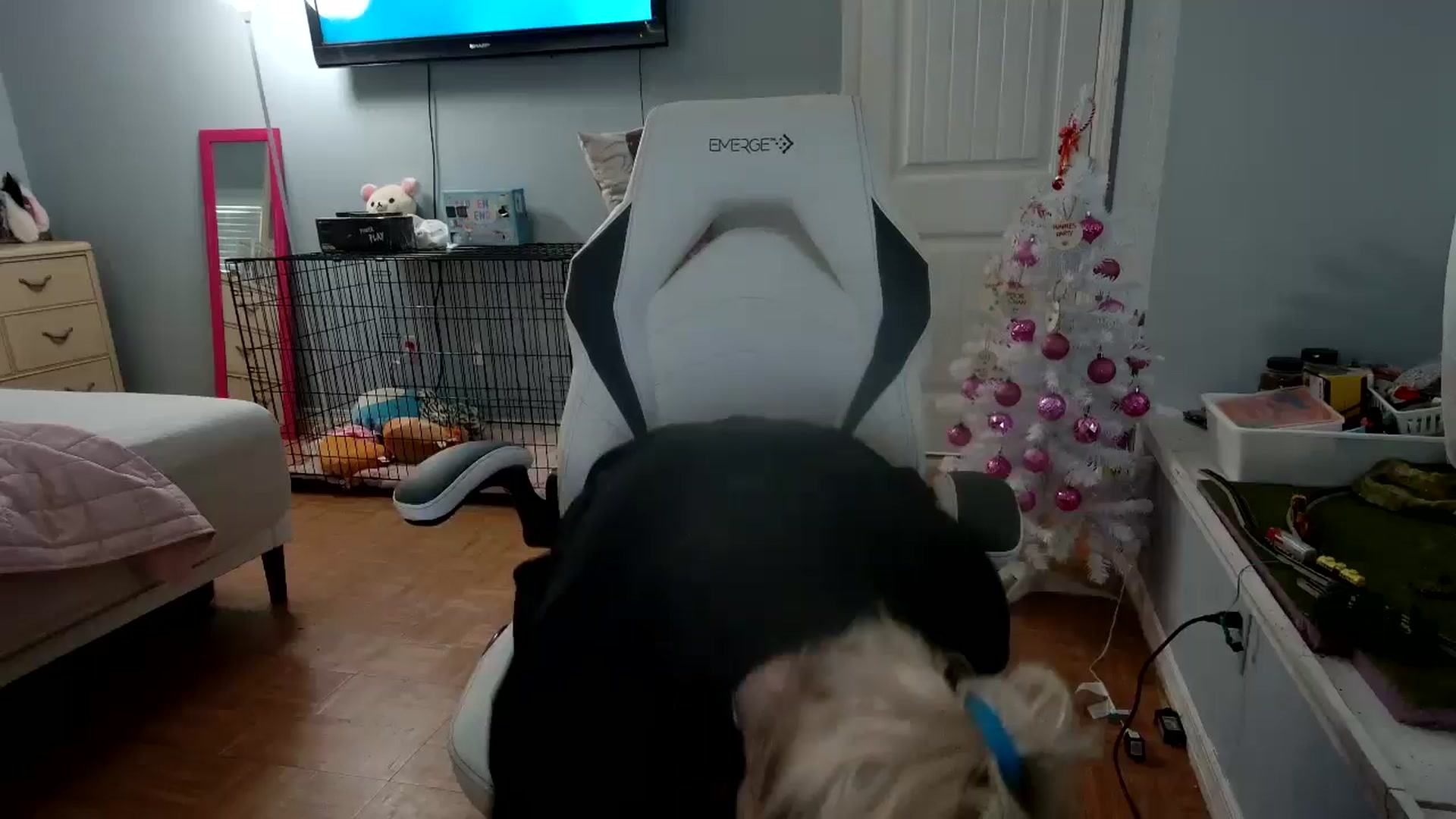 Gallery image thumbnail from DuckChan0's myfreecams stream on, 12/10/2024, 13:56 image 1 of 20