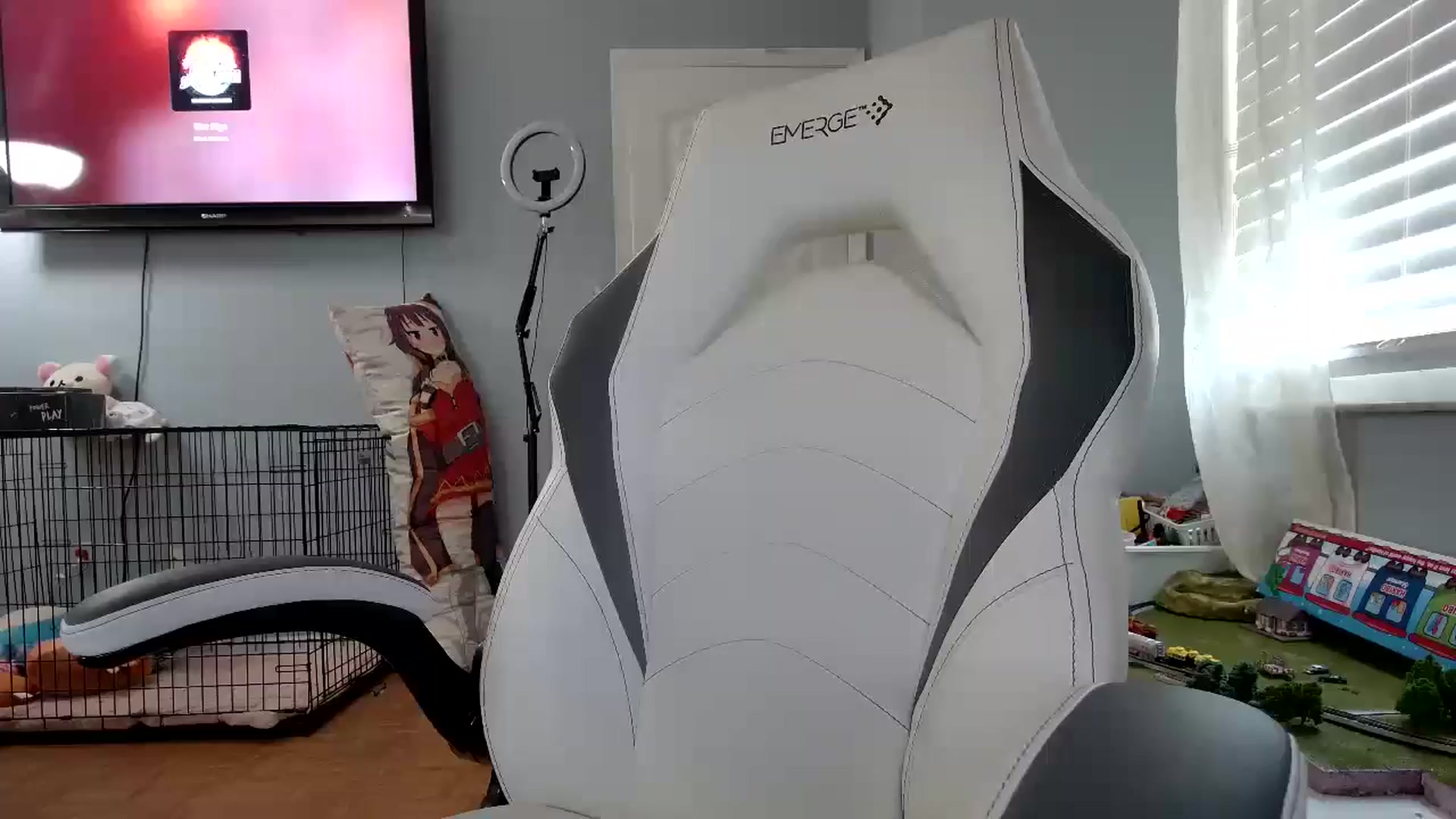 Gallery image thumbnail from DuckChan0's myfreecams stream on, 12/11/2024, 17:09 image 18 of 20