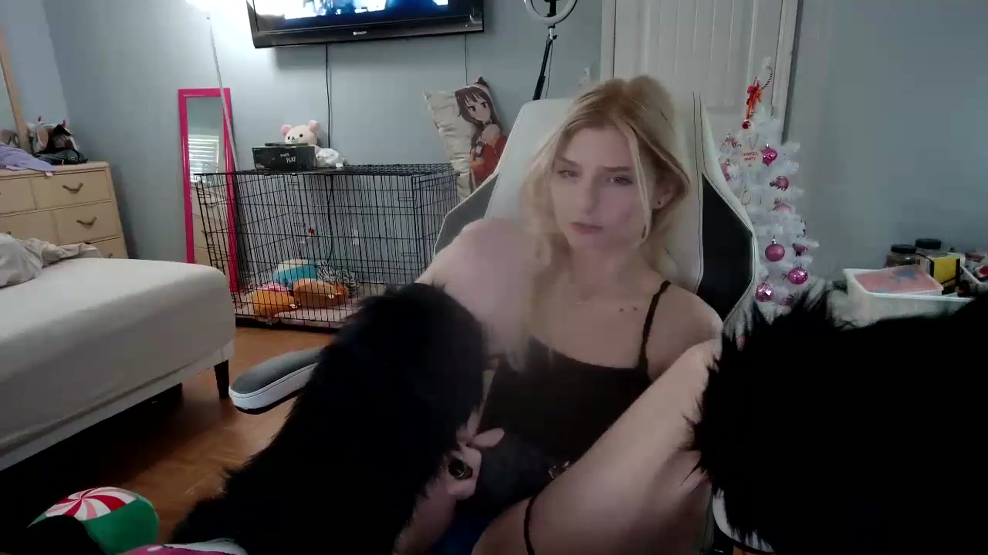Gallery image thumbnail from DuckChan0's myfreecams stream on, 12/11/2024, 17:09 image 2 of 20