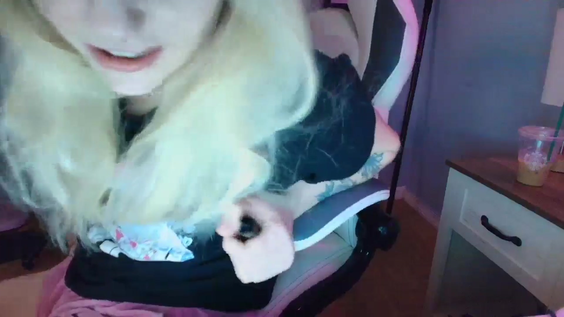 Gallery image thumbnail from DuckChan0's myfreecams stream on, 03/08/2025, 15:51 image 11 of 20