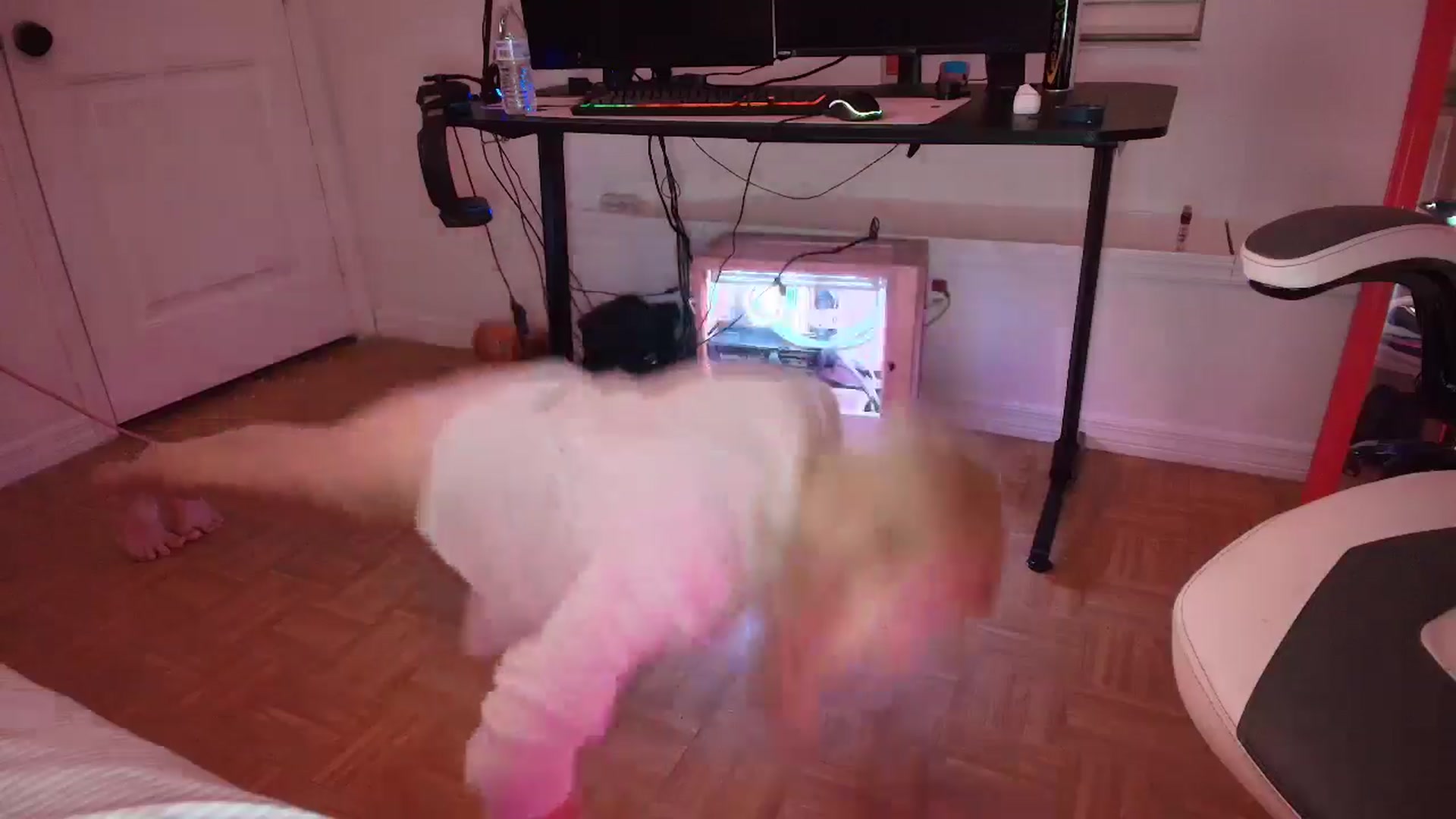 Gallery image thumbnail from DuckChan0's myfreecams stream on, 03/23/2025, 24:35 image 7 of 20