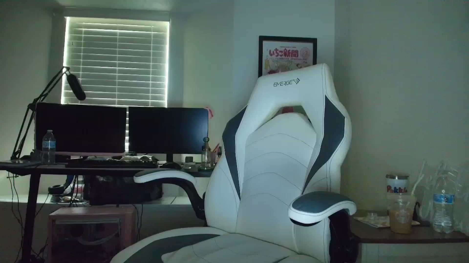 Gallery image thumbnail from DuckChan0's myfreecams stream on, 05/13/2025, 13:56 image 10 of 20