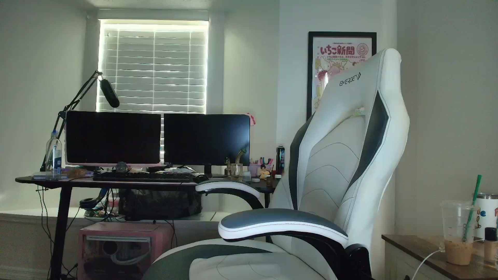 Gallery image thumbnail from DuckChan0's myfreecams stream on, 05/14/2025, 13:35 image 2 of 20