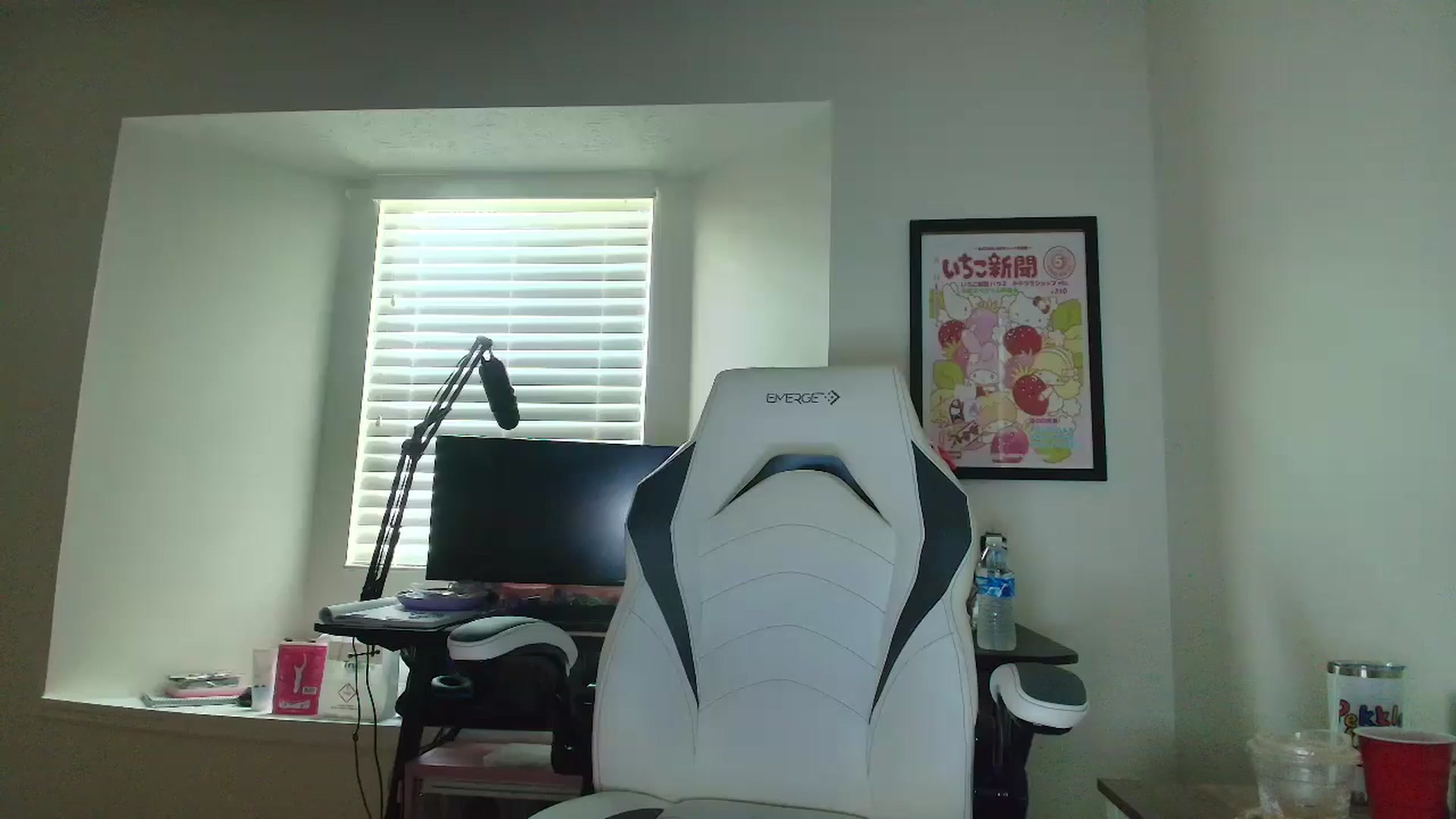 Gallery image thumbnail from DuckChan0's myfreecams stream on, 05/20/2025, 13:47 image 9 of 20
