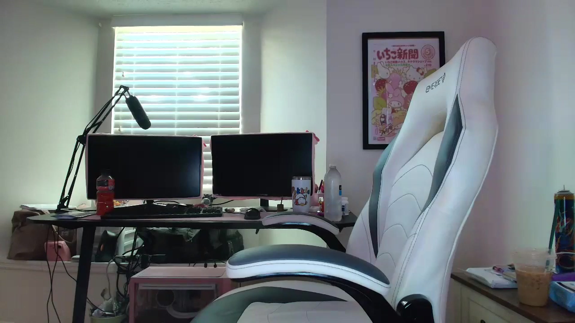 Gallery image thumbnail from DuckChan0's myfreecams stream on, 06/03/2025, 12:32 image 13 of 20