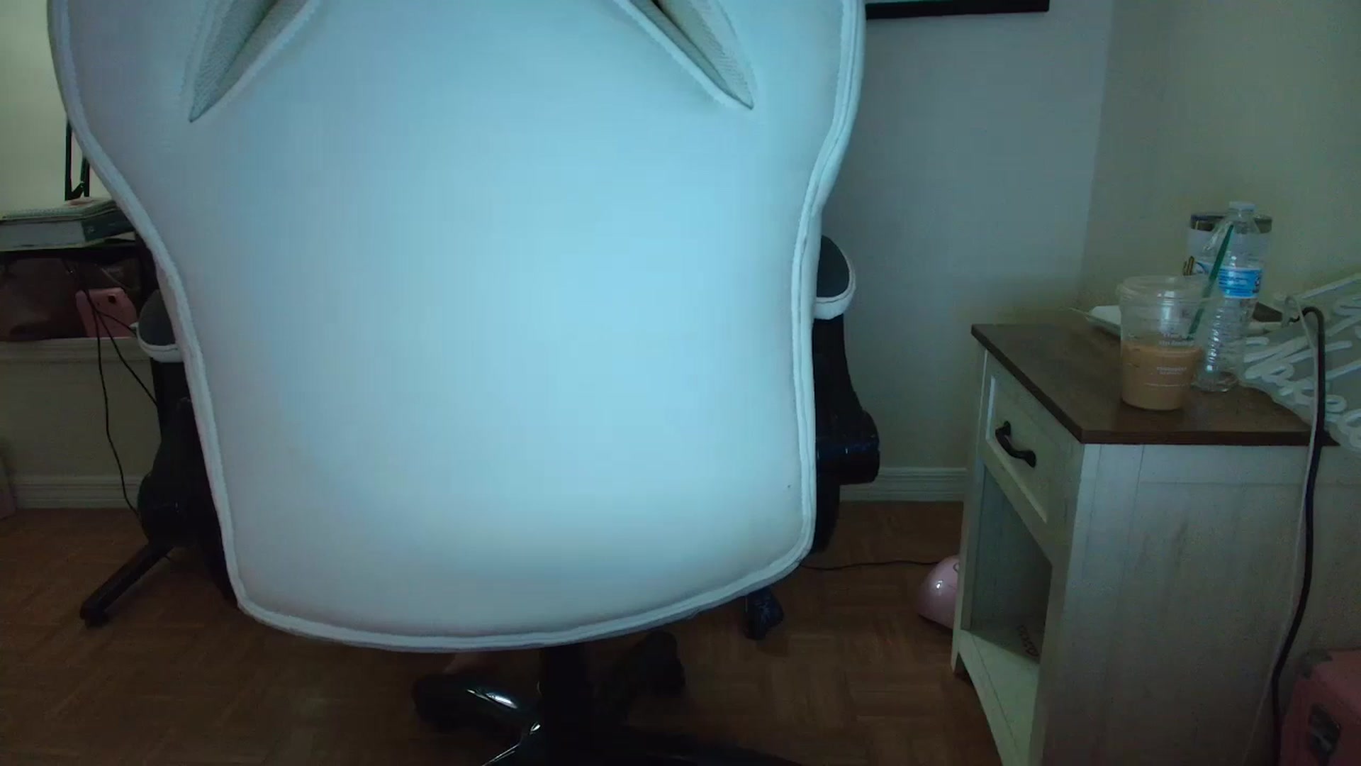 Gallery image thumbnail from DuckChan0's myfreecams stream on, 06/06/2025, 15:53 image 5 of 20