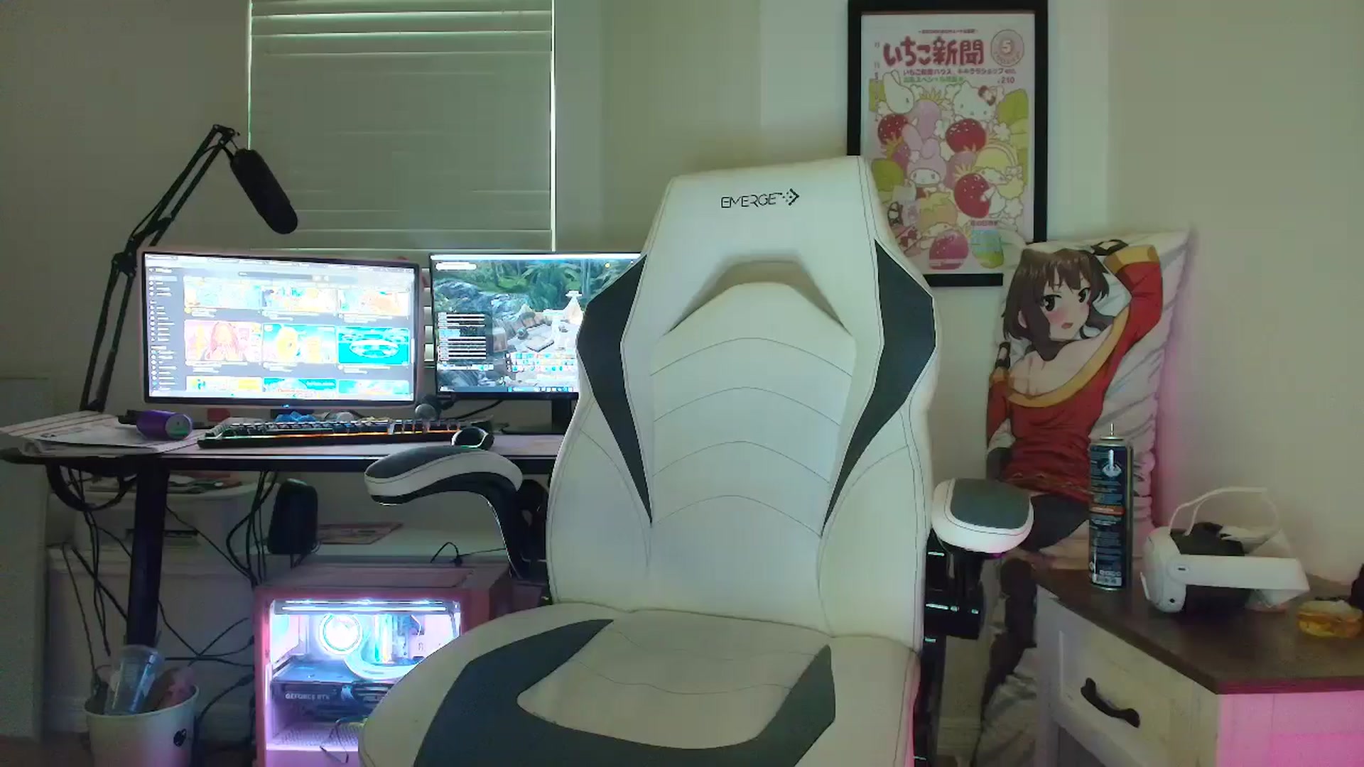 Gallery image thumbnail from DuckChan0's myfreecams stream on, 06/28/2025, 24:05 image 11 of 20
