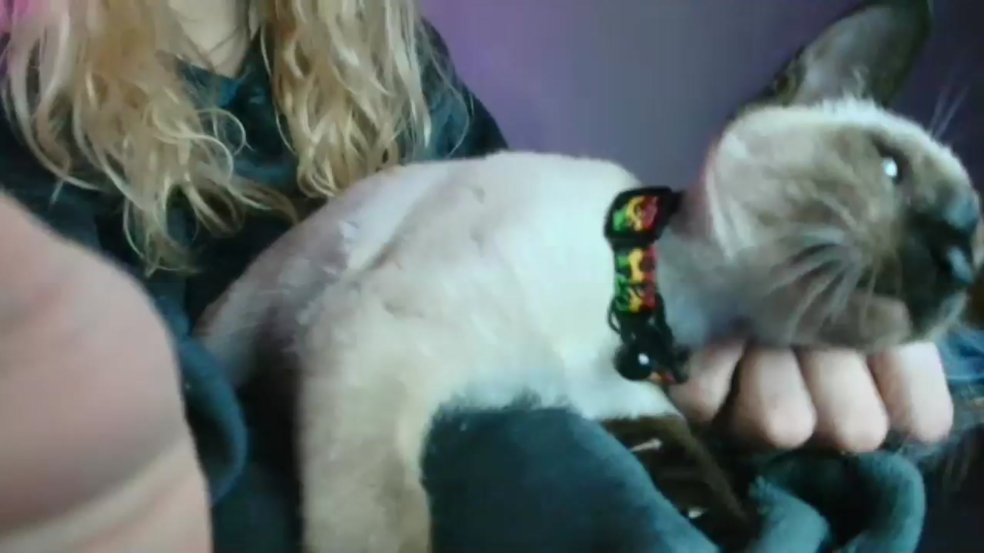 Gallery image thumbnail from DuckChan0's myfreecams stream on, 11/05/2025, 16:43 image 1 of 20