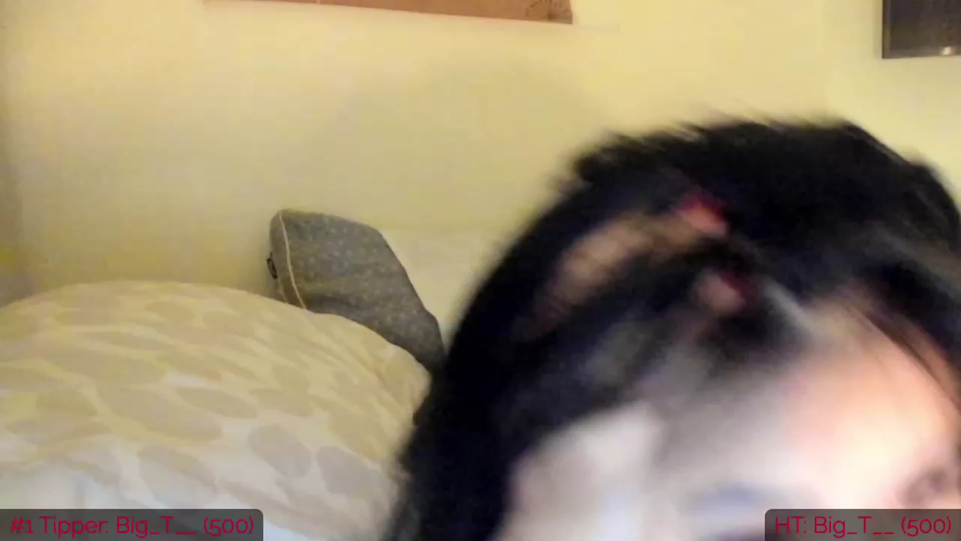 Gallery image thumbnail from DumplingHyuga's myfreecams stream on, 01/17/2023, 16:49 image 7 of 20