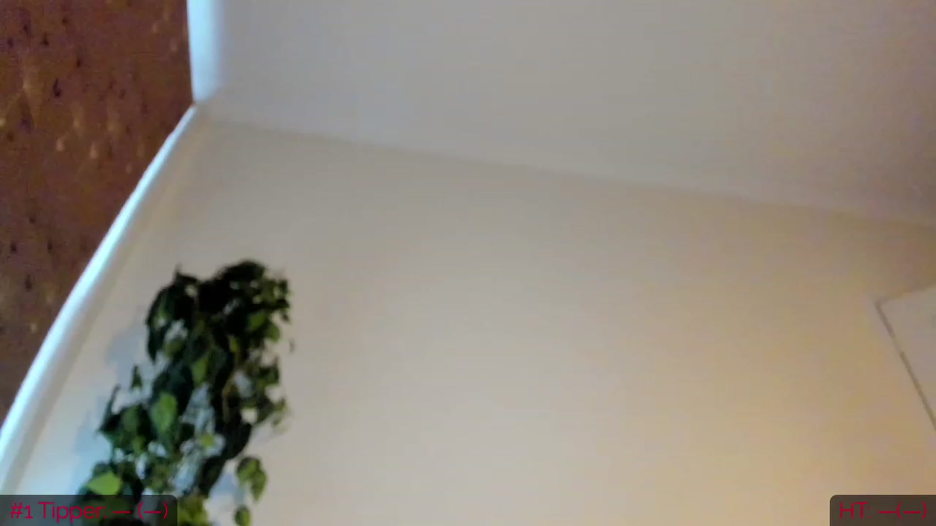 Gallery image thumbnail from DumplingHyuga's myfreecams stream on, 03/05/2023, 19:08 image 1 of 20