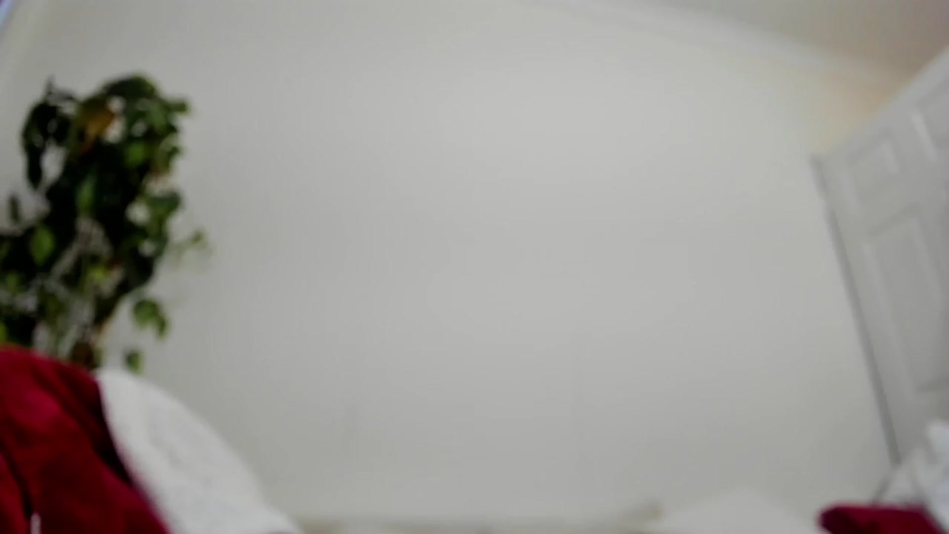 Gallery image thumbnail from DumplingHyuga's myfreecams stream on, 04/06/2023, 16:47 image 5 of 20
