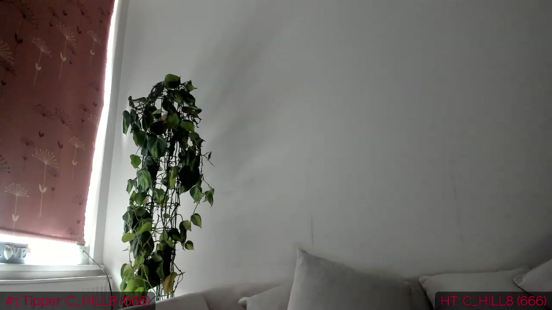 Gallery image thumbnail from DumplingHyuga's myfreecams stream on, 04/26/2023, 14:52 image 6 of 20