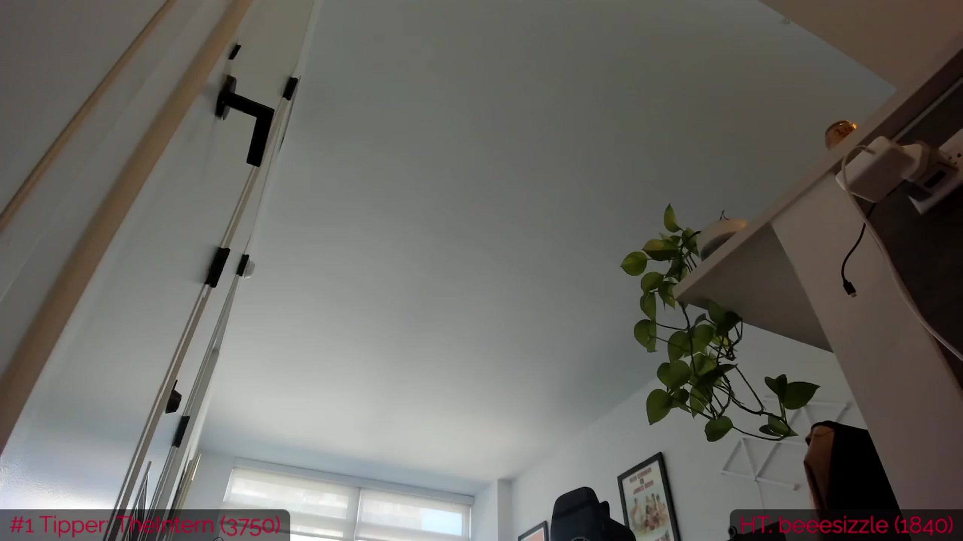 Gallery image thumbnail from DumplingHyuga's myfreecams stream on, 05/26/2023, 19:59 image 20 of 20