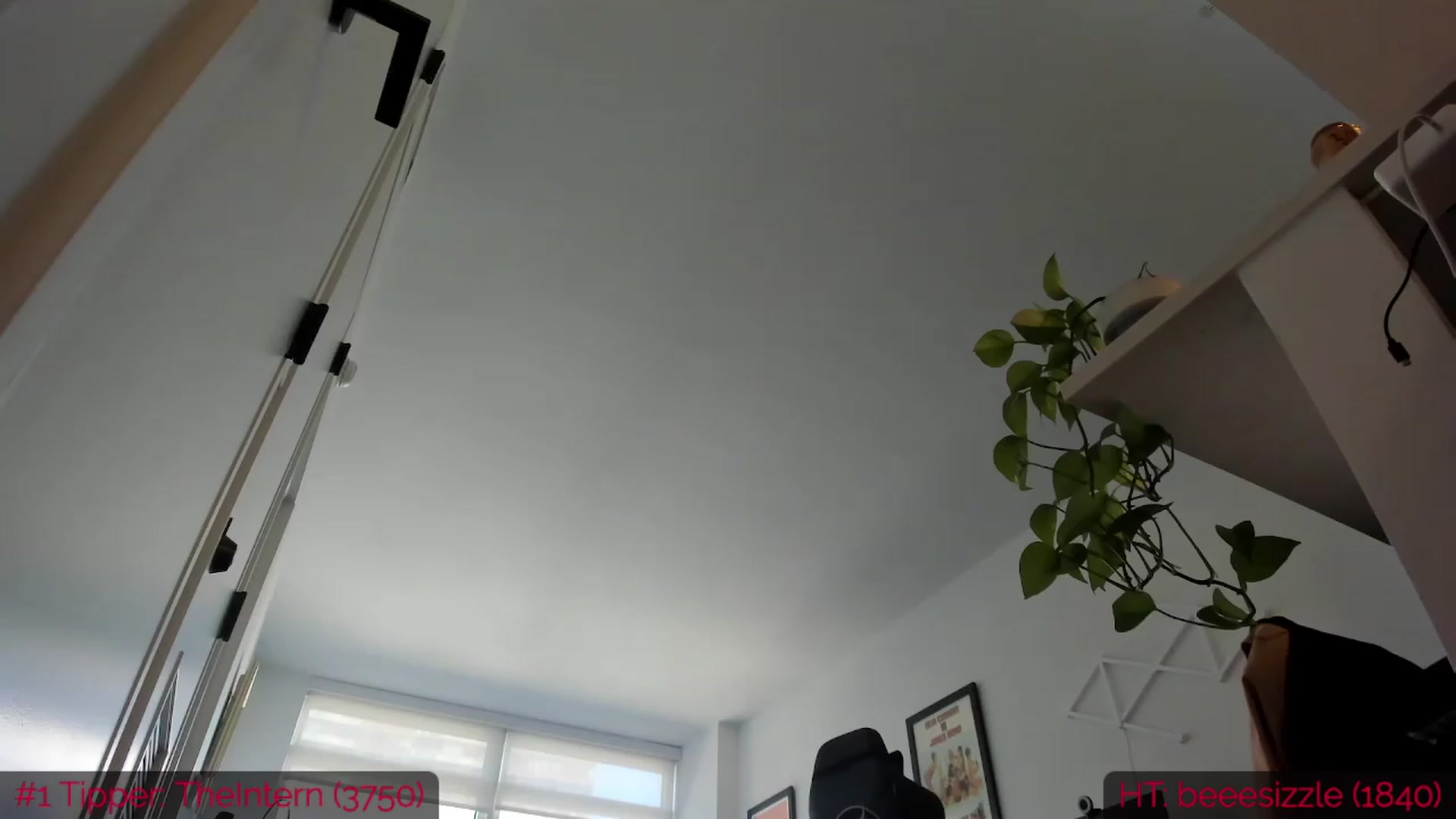 Gallery image thumbnail from DumplingHyuga's myfreecams stream on, 05/26/2023, 19:59 image 13 of 20