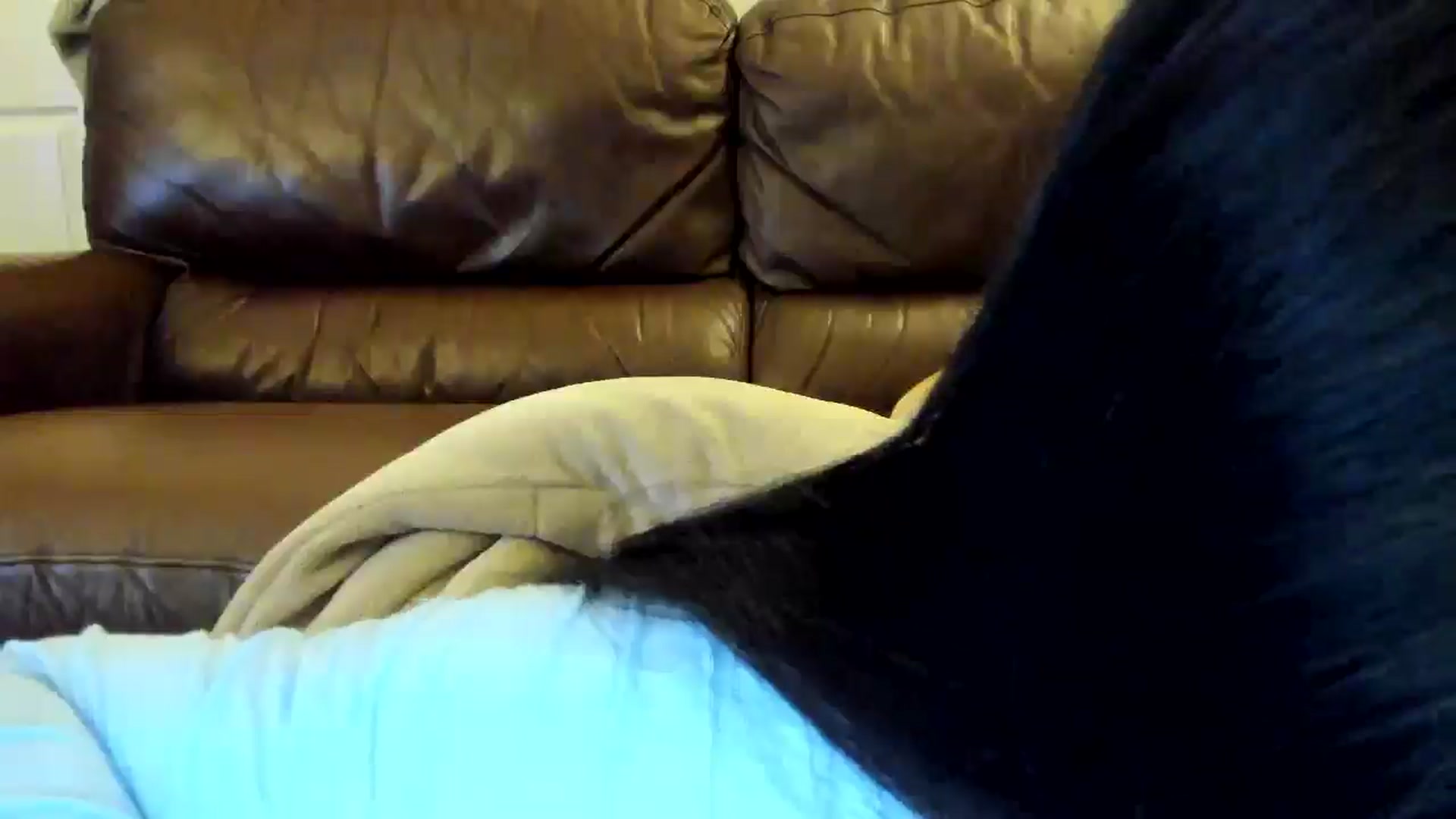 Gallery image thumbnail from DumplingHyuga's myfreecams stream on, 04/25/2025, 21:12 image 2 of 20