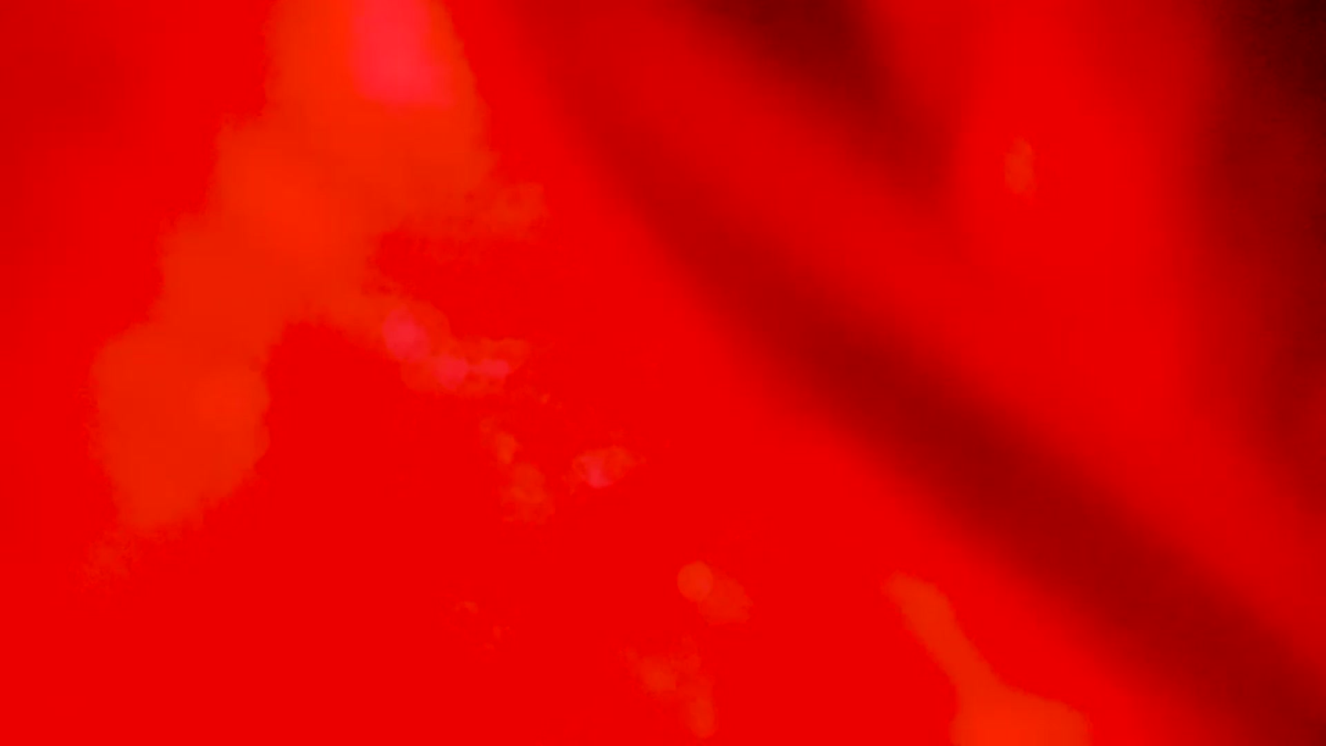 Gallery image thumbnail from EMILIANA_CRUZ's myfreecams stream on, 12/06/2022, 24:36 image 3 of 20