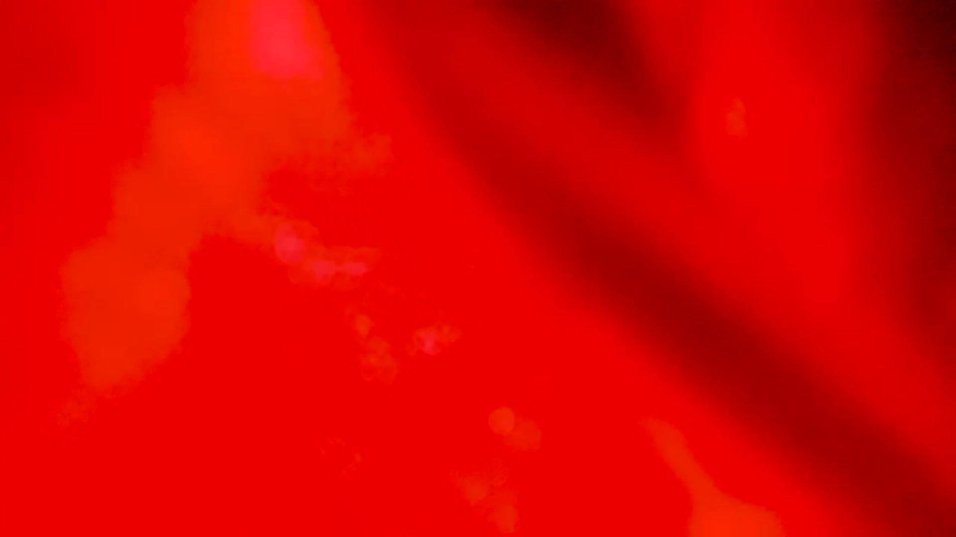 Gallery image thumbnail from EMILIANA_CRUZ's myfreecams stream on, 12/06/2022, 24:36 image 11 of 20