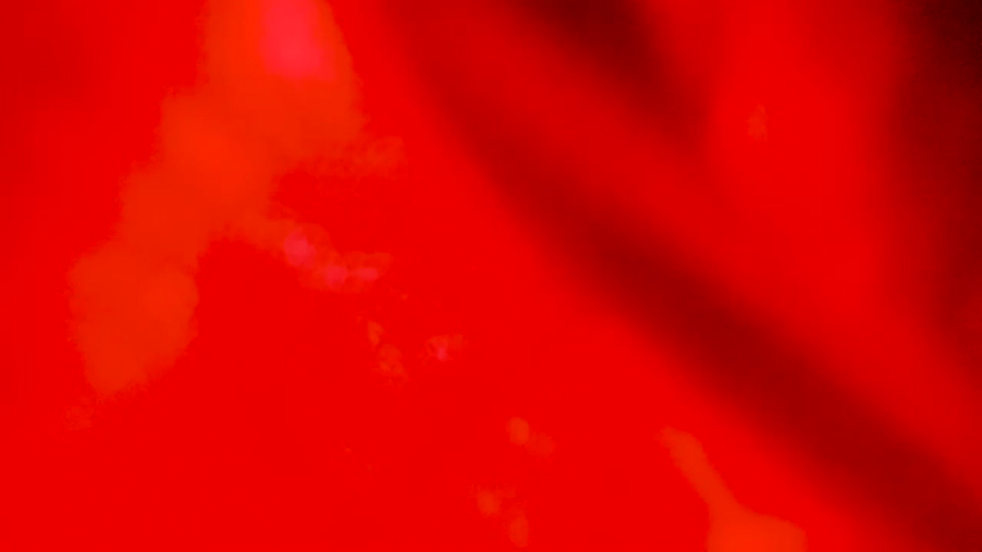 Gallery image thumbnail from EMILIANA_CRUZ's myfreecams stream on, 12/06/2022, 24:36 image 6 of 20