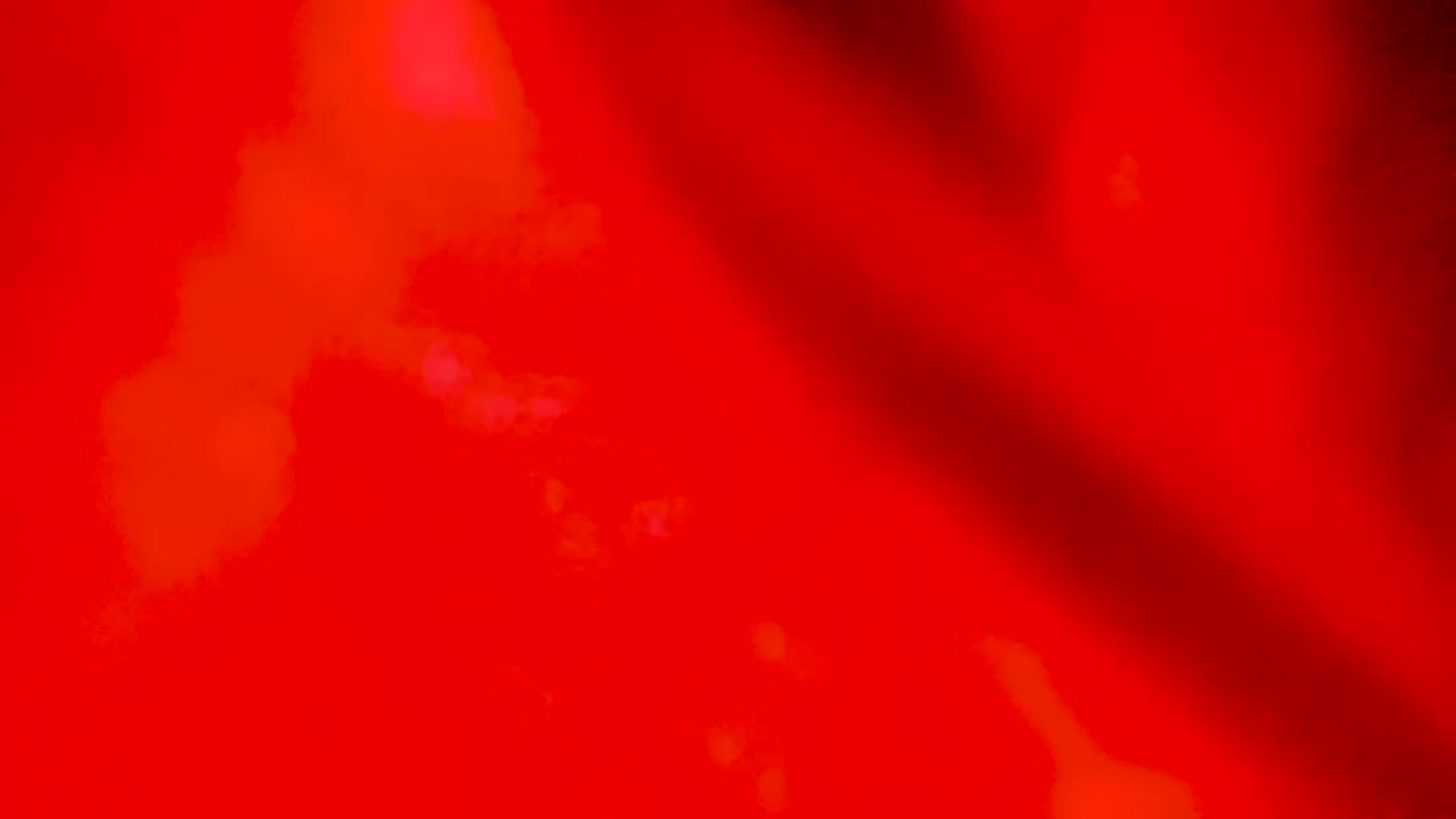Gallery image thumbnail from EMILIANA_CRUZ's myfreecams stream on, 12/06/2022, 24:36 image 7 of 20