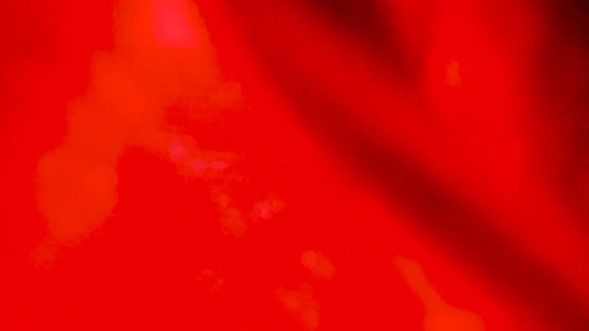 Gallery image thumbnail from EMILIANA_CRUZ's myfreecams stream on, 12/06/2022, 24:36 image 9 of 20