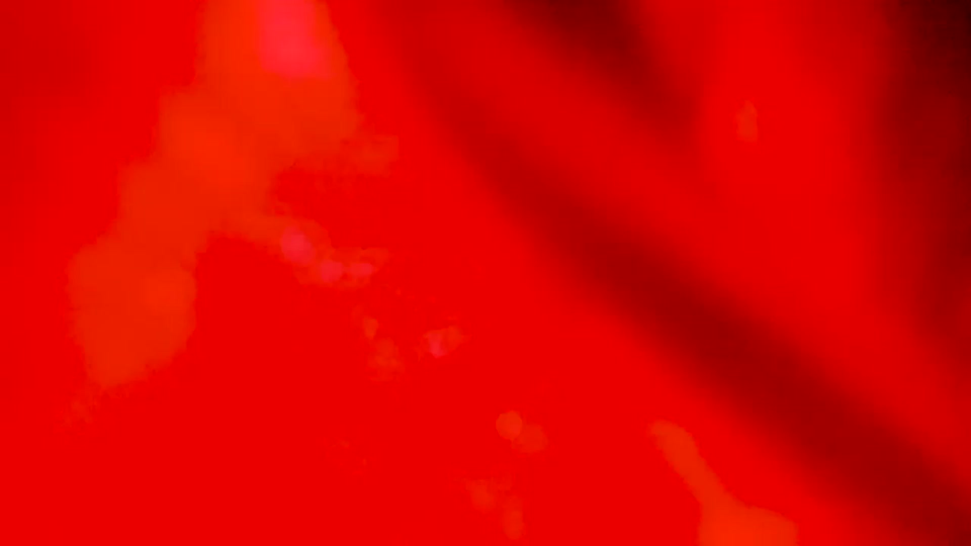 Gallery image thumbnail from EMILIANA_CRUZ's myfreecams stream on, 12/06/2022, 24:36 image 1 of 20