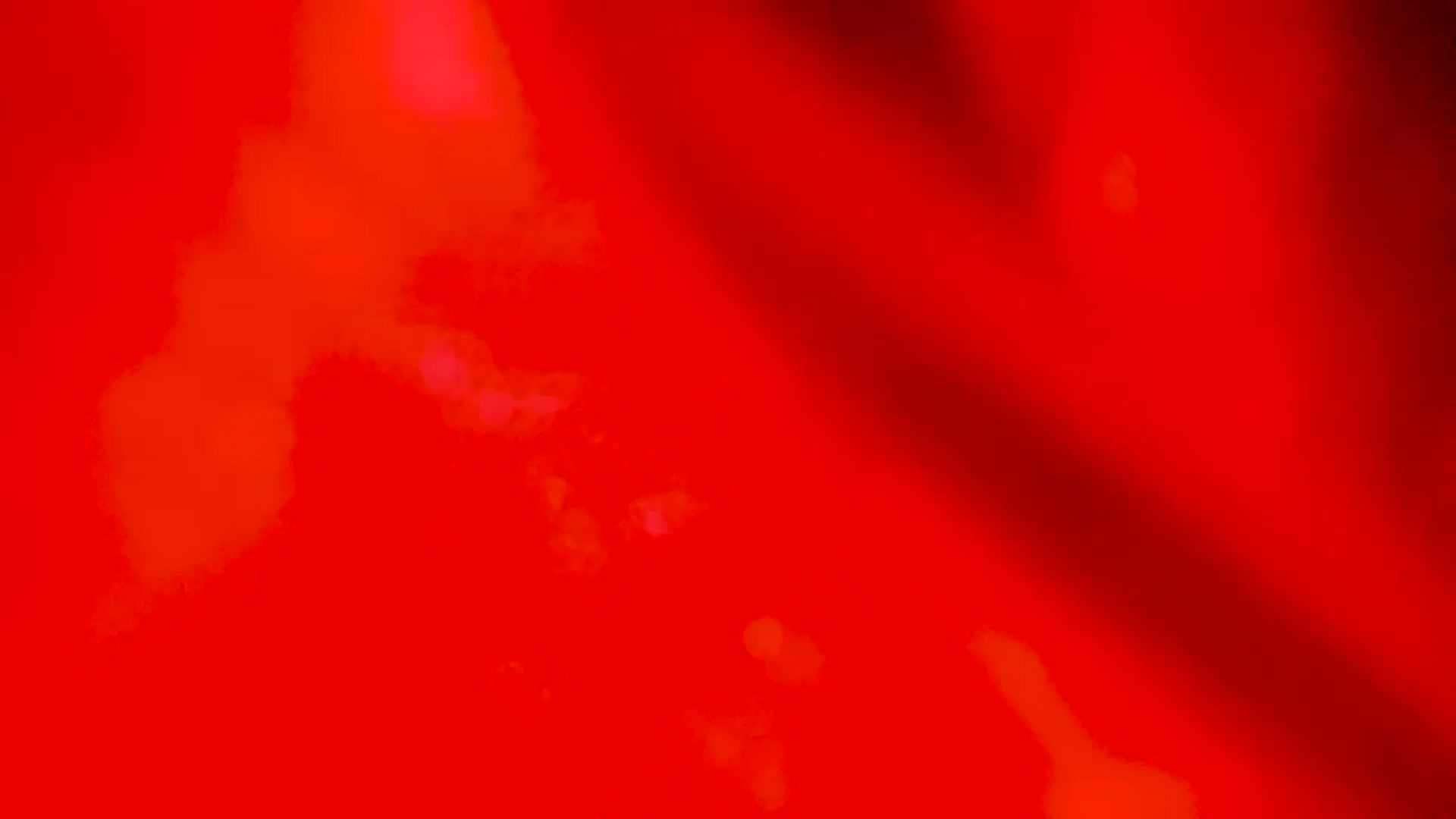 Gallery image thumbnail from EMILIANA_CRUZ's myfreecams stream on, 12/06/2022, 24:36 image 4 of 20