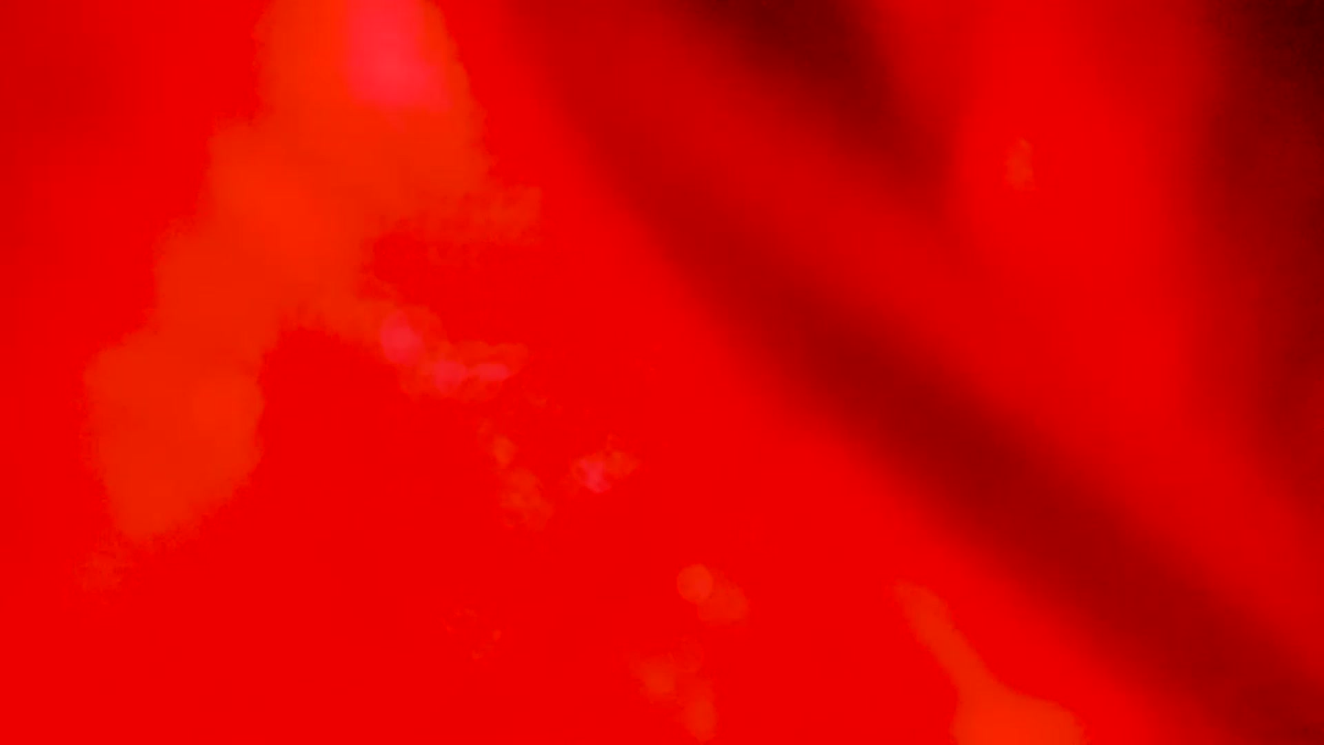 Gallery image thumbnail from EMILIANA_CRUZ's myfreecams stream on, 12/06/2022, 24:36 image 13 of 20