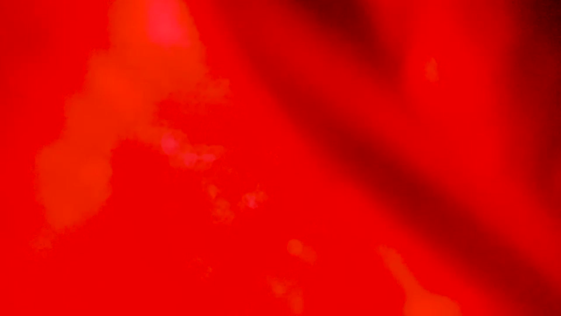 Gallery image thumbnail from EMILIANA_CRUZ's myfreecams stream on, 12/06/2022, 24:36 image 8 of 20