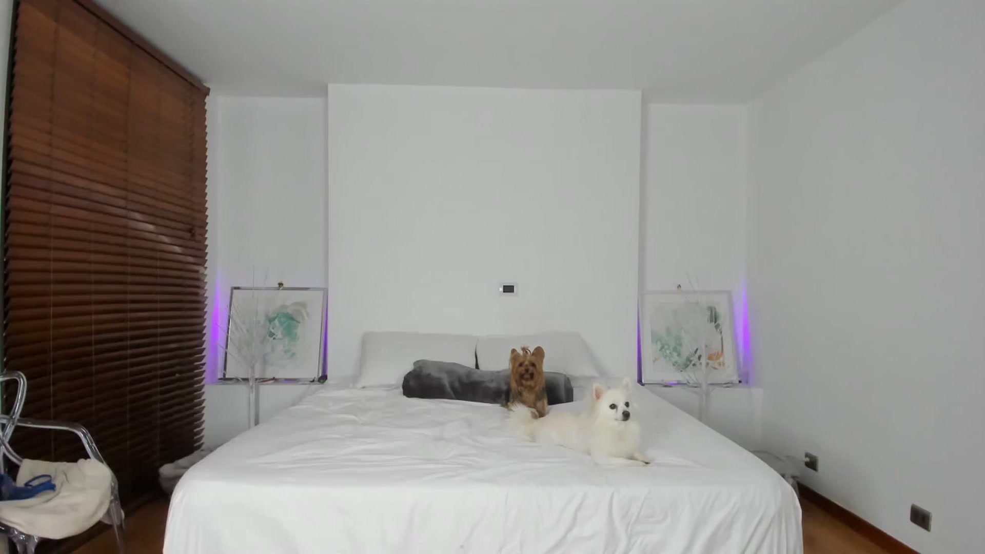 Gallery image thumbnail from EMILIANA_CRUZ's myfreecams stream on, 12/21/2023, 03:22 image 20 of 20
