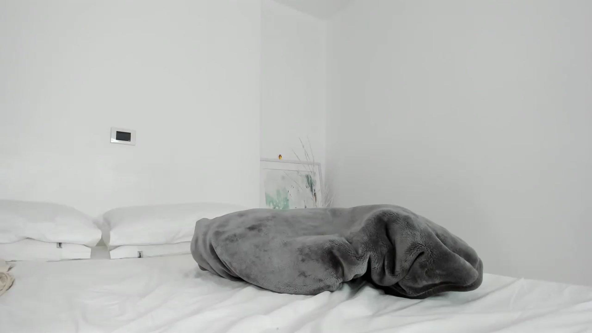 Gallery image thumbnail from EMILIANA_CRUZ's myfreecams stream on, 01/28/2024, 02:01 image 1 of 20