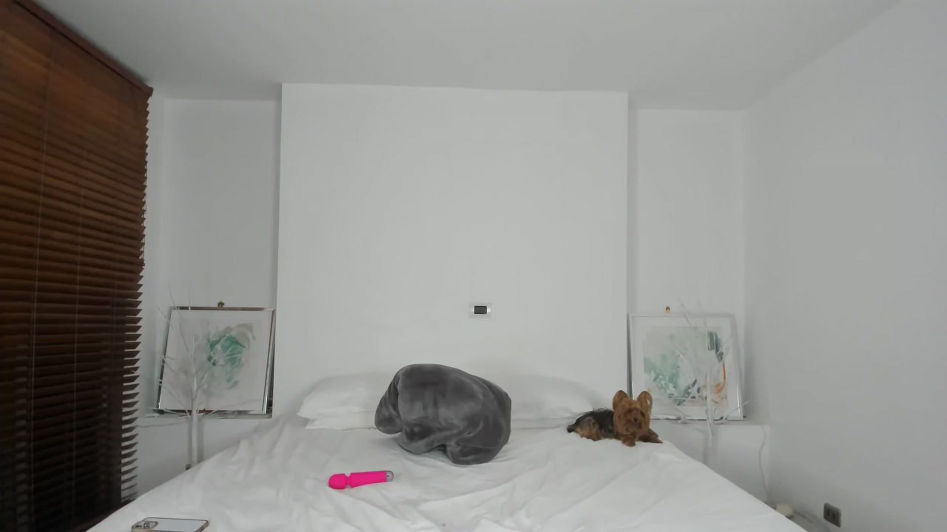 Gallery image thumbnail from EMILIANA_CRUZ's myfreecams stream on, 01/28/2024, 04:20 image 14 of 20