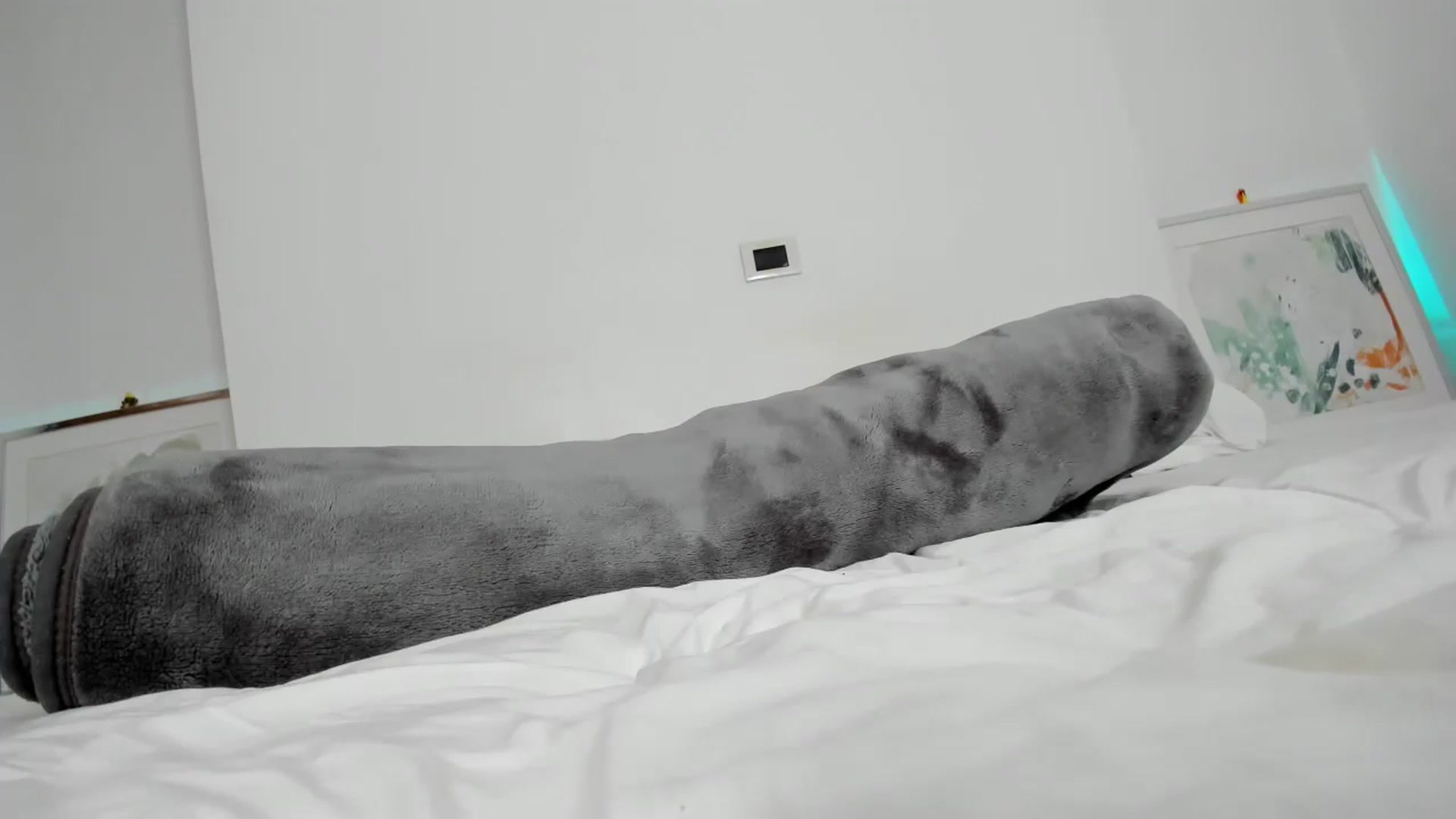 Gallery image thumbnail from EMILIANA_CRUZ's myfreecams stream on, 05/01/2024, 24:36 image 10 of 20