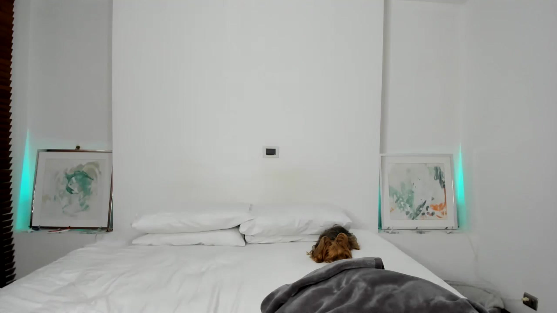 Gallery image thumbnail from EMILIANA_CRUZ's myfreecams stream on, 06/25/2024, 03:17 image 2 of 20